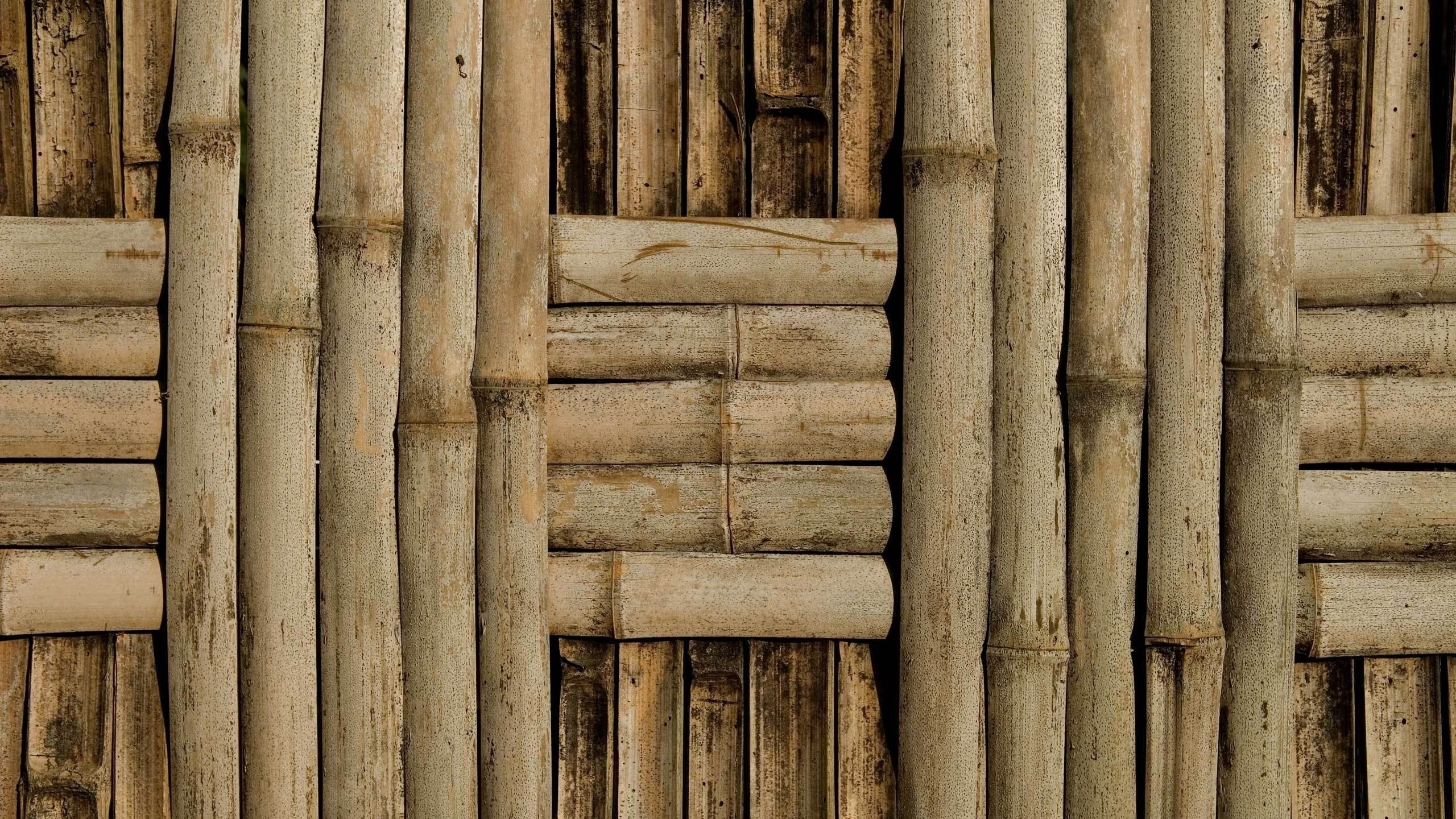 General 2560x1440 bamboo wood texture closeup
