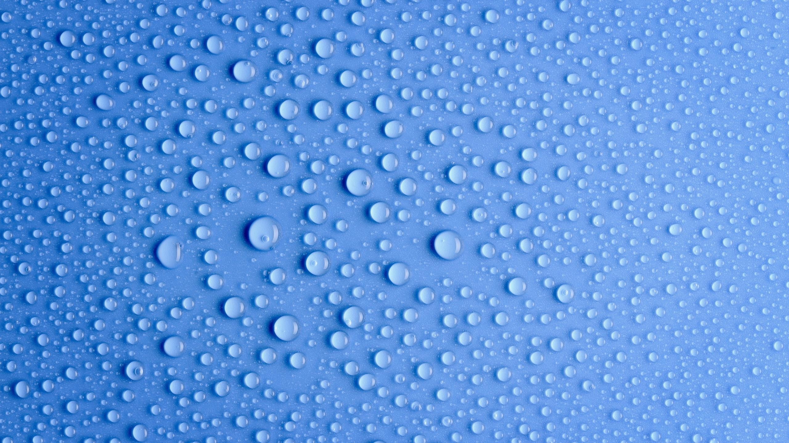 General 2560x1440 water drops blue background texture closeup simple background