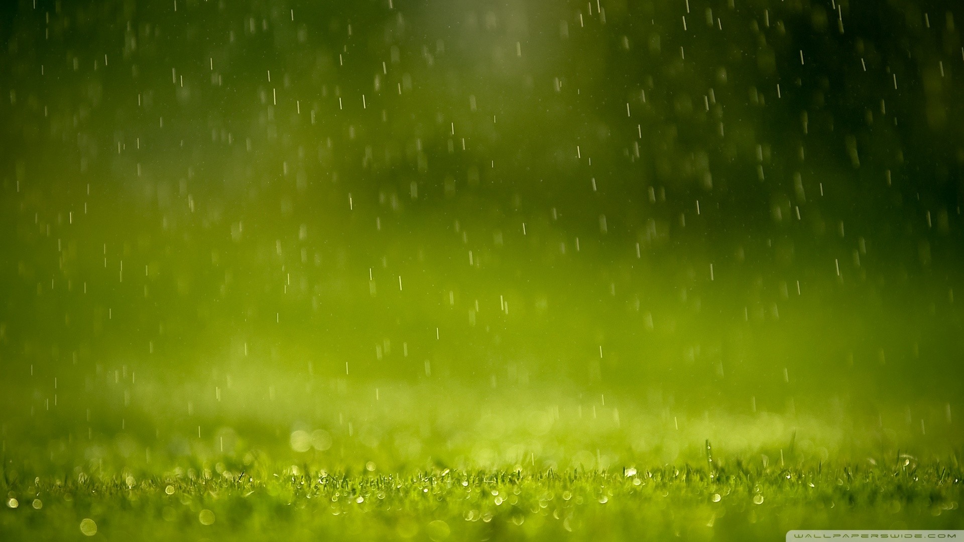 General 1920x1080 macro grass water drops rain
