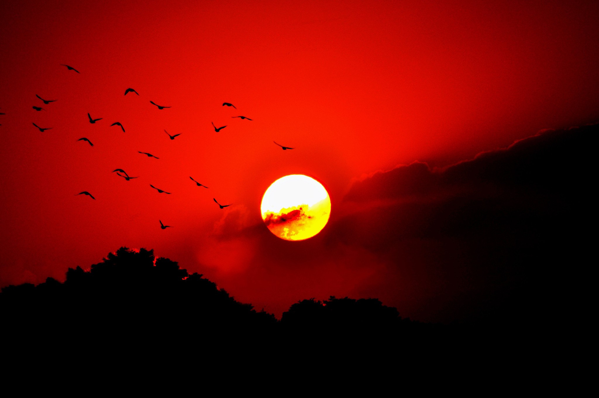 General 2048x1360 landscape Sun sky birds red dark red sky animals sunlight