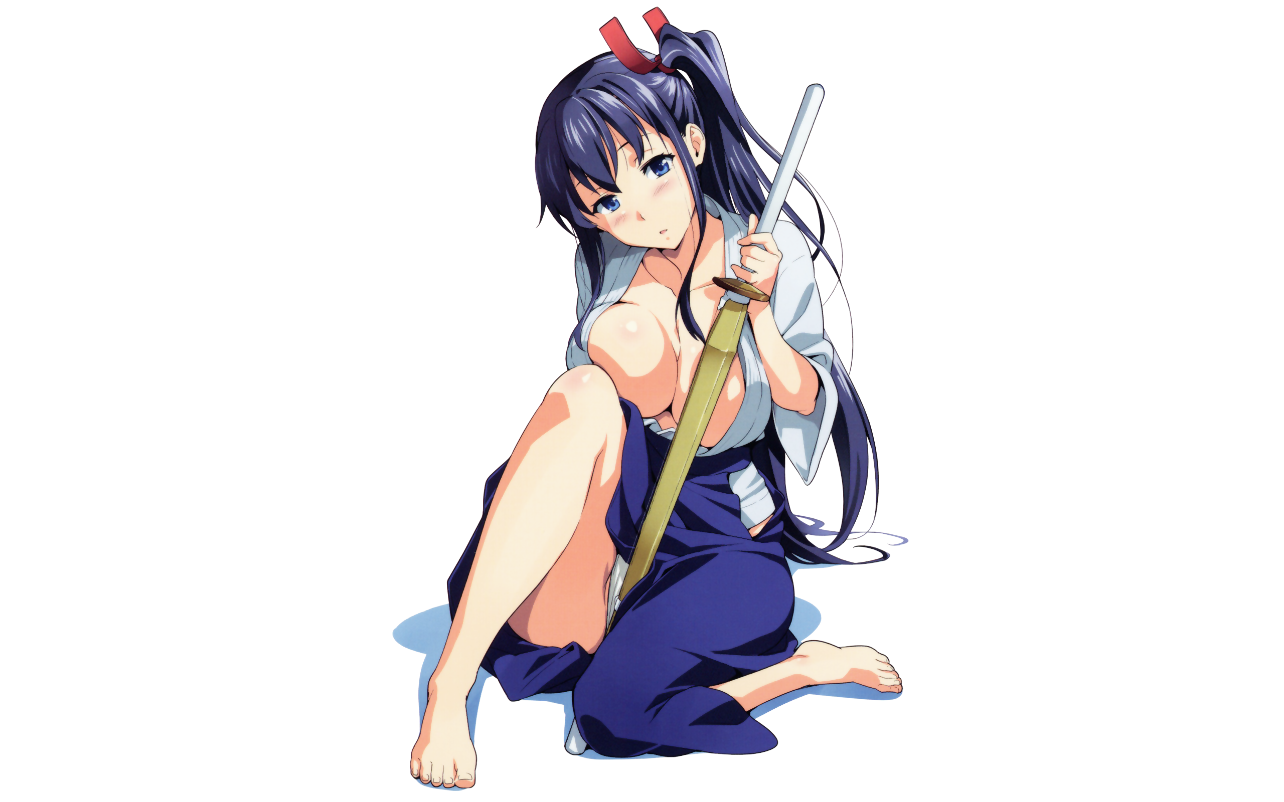 Anime 2560x1600 Maken-ki! anime purple hair big boobs feet barefoot boobs huge breasts women with swords legs simple background white background looking at viewer blue eyes Japanese clothes no bra cleavage sword artwork Takeda Hiromitsu