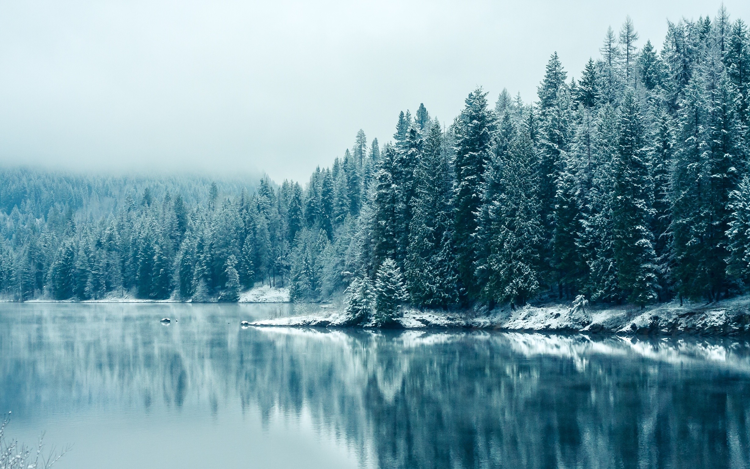 General 2457x1536 nature winter water landscape trees cold snow ice reflection outdoors
