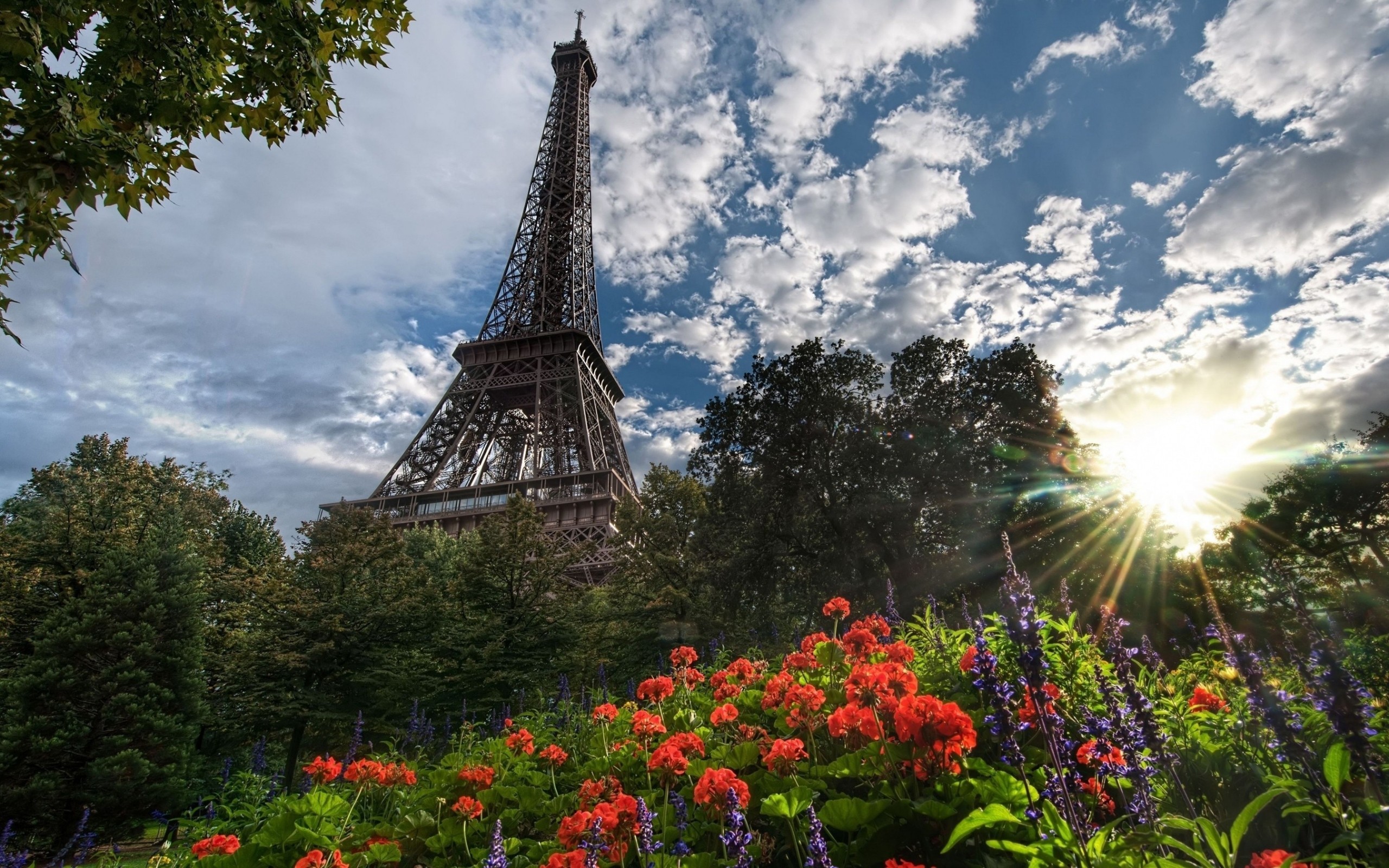 General 2560x1600 cityscape Paris Eiffel Tower France flowers clouds Sun plants landmark