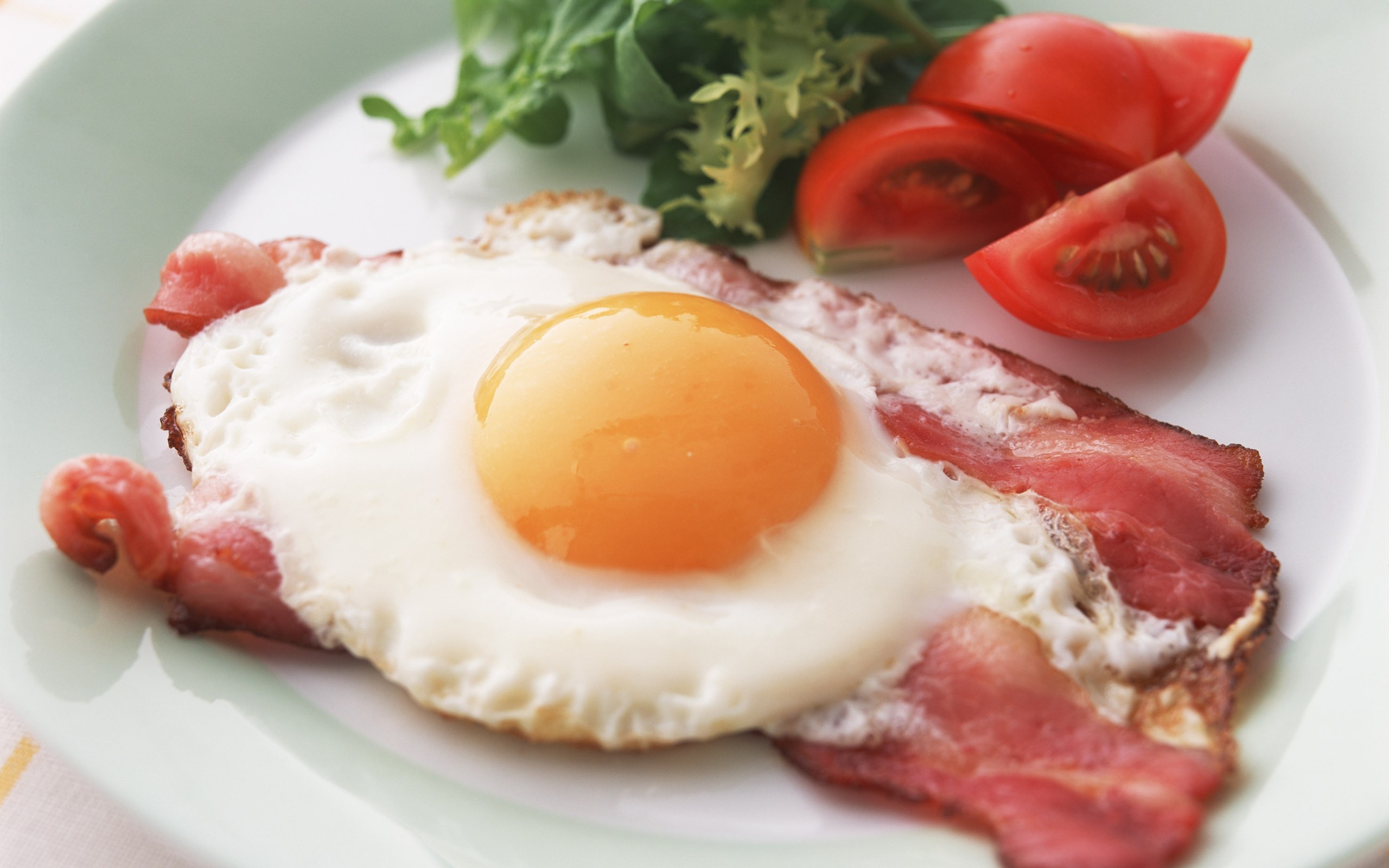 General 2560x1600 eggs bacon food tomatoes salad closeup breakfast plates