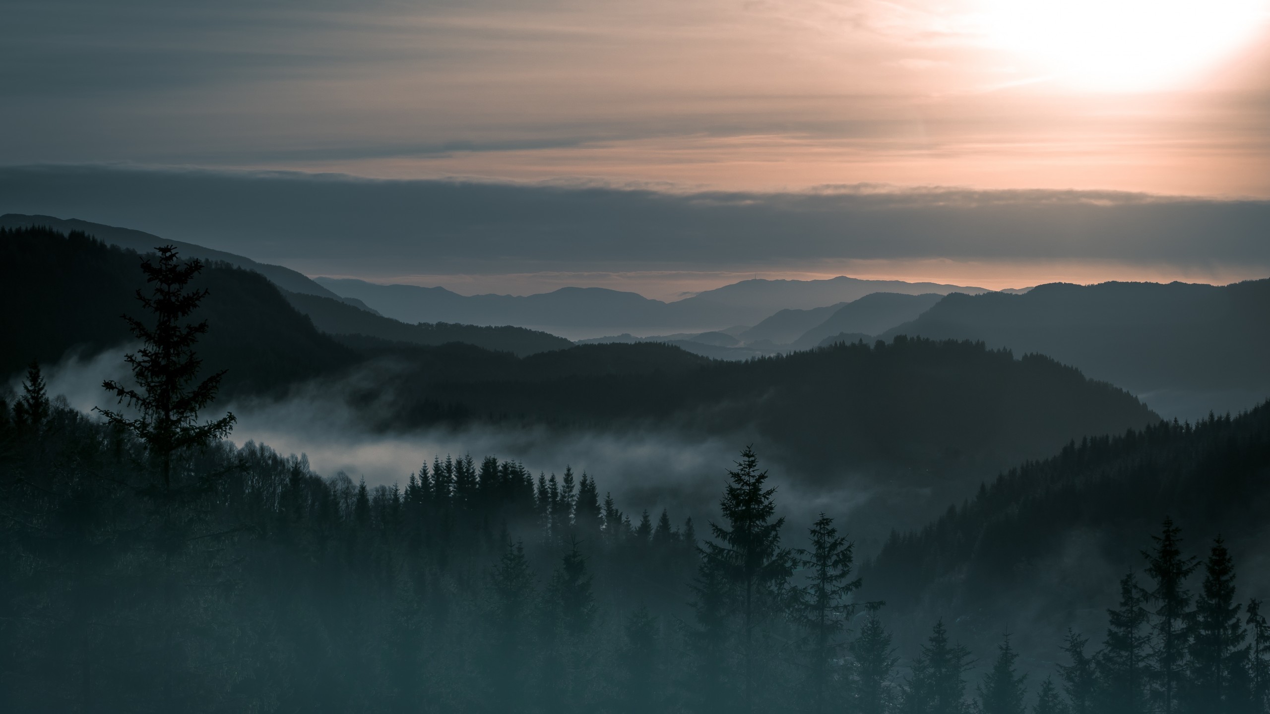 General 2560x1440 nature landscape trees forest pine trees mountains Norway mist hills clouds nordic landscapes