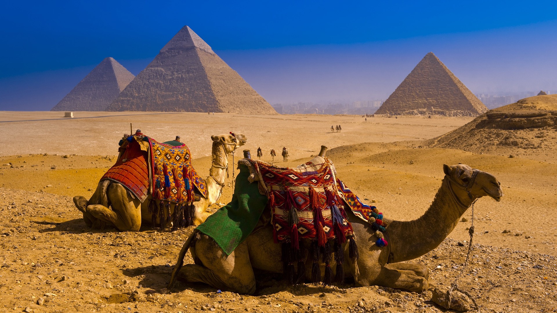 General 1920x1080 pyramid Egypt desert animals landmark World Heritage Site