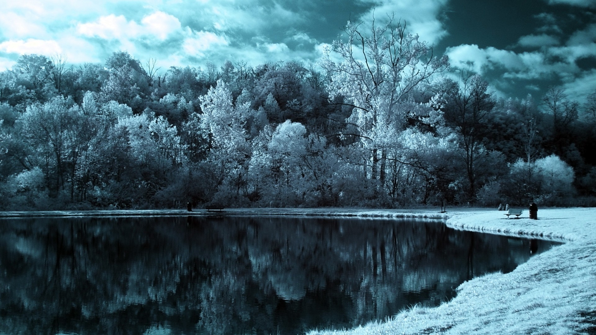 General 1920x1080 snow winter lake forest trees cold ice reflection nature