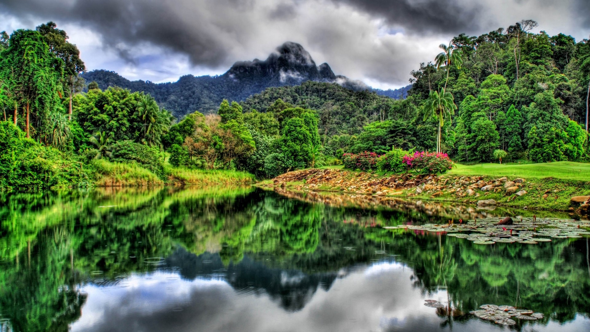 General 1920x1080 nature HDR river overcast tropical forest plants reflection clouds
