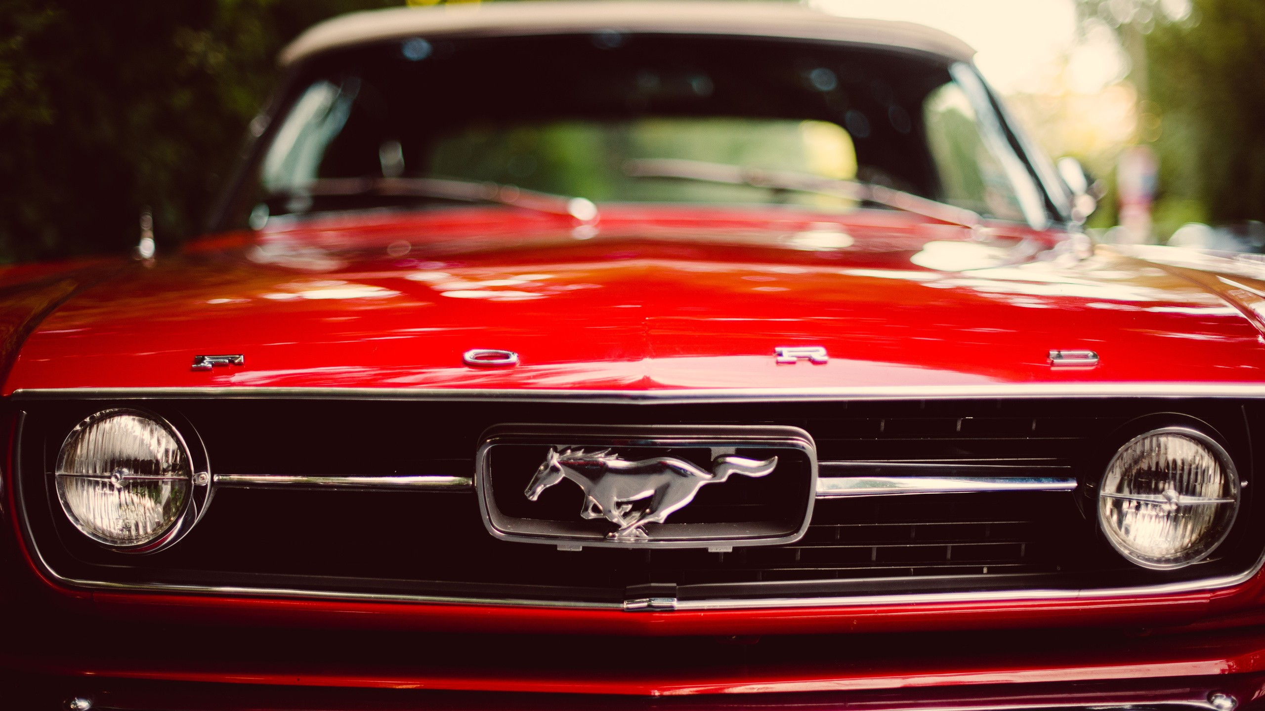 General 2560x1440 car depth of field headlights Ford Mustang classic car red cars