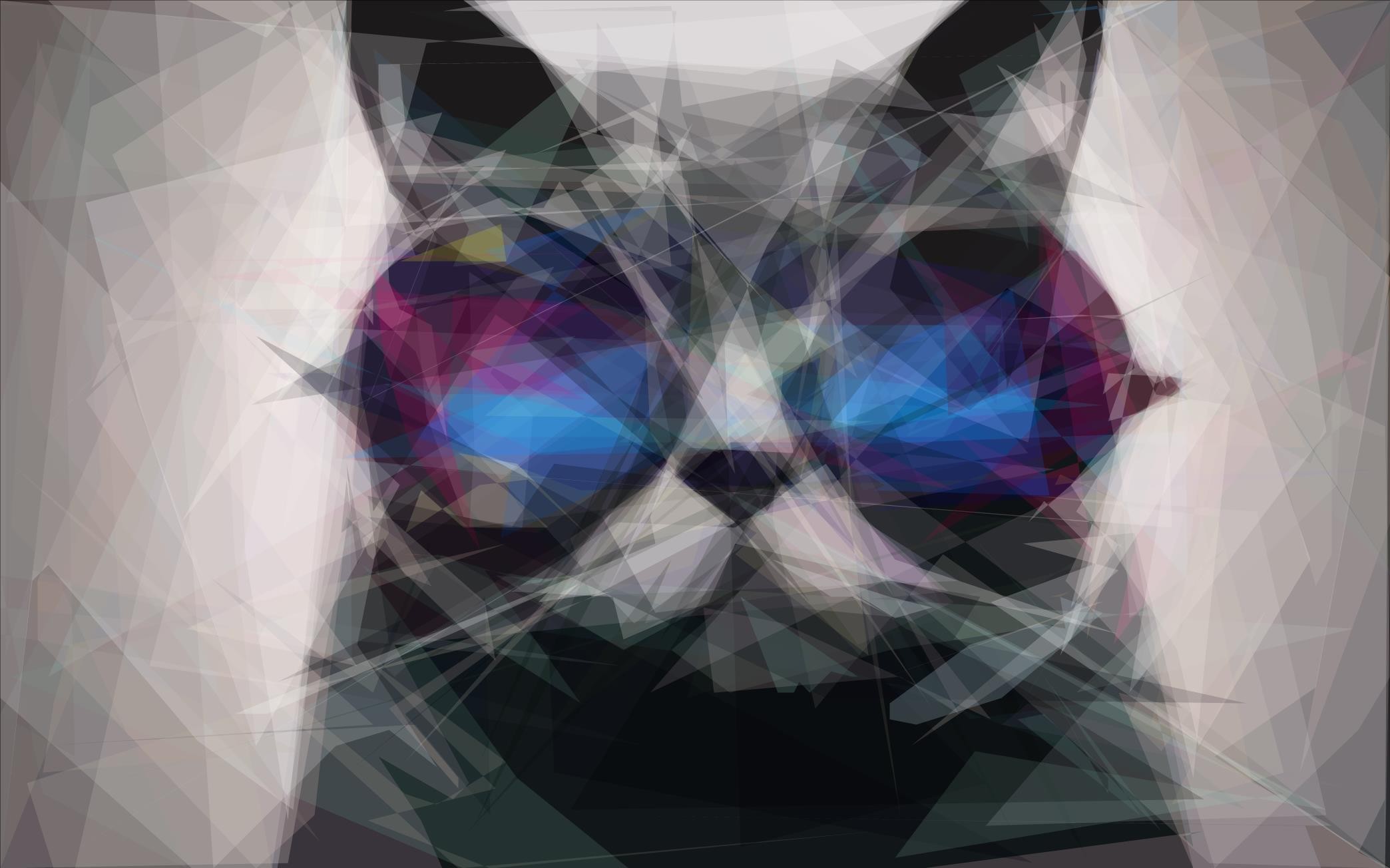 General 2088x1304 cats sunglasses digital art animals frontal view