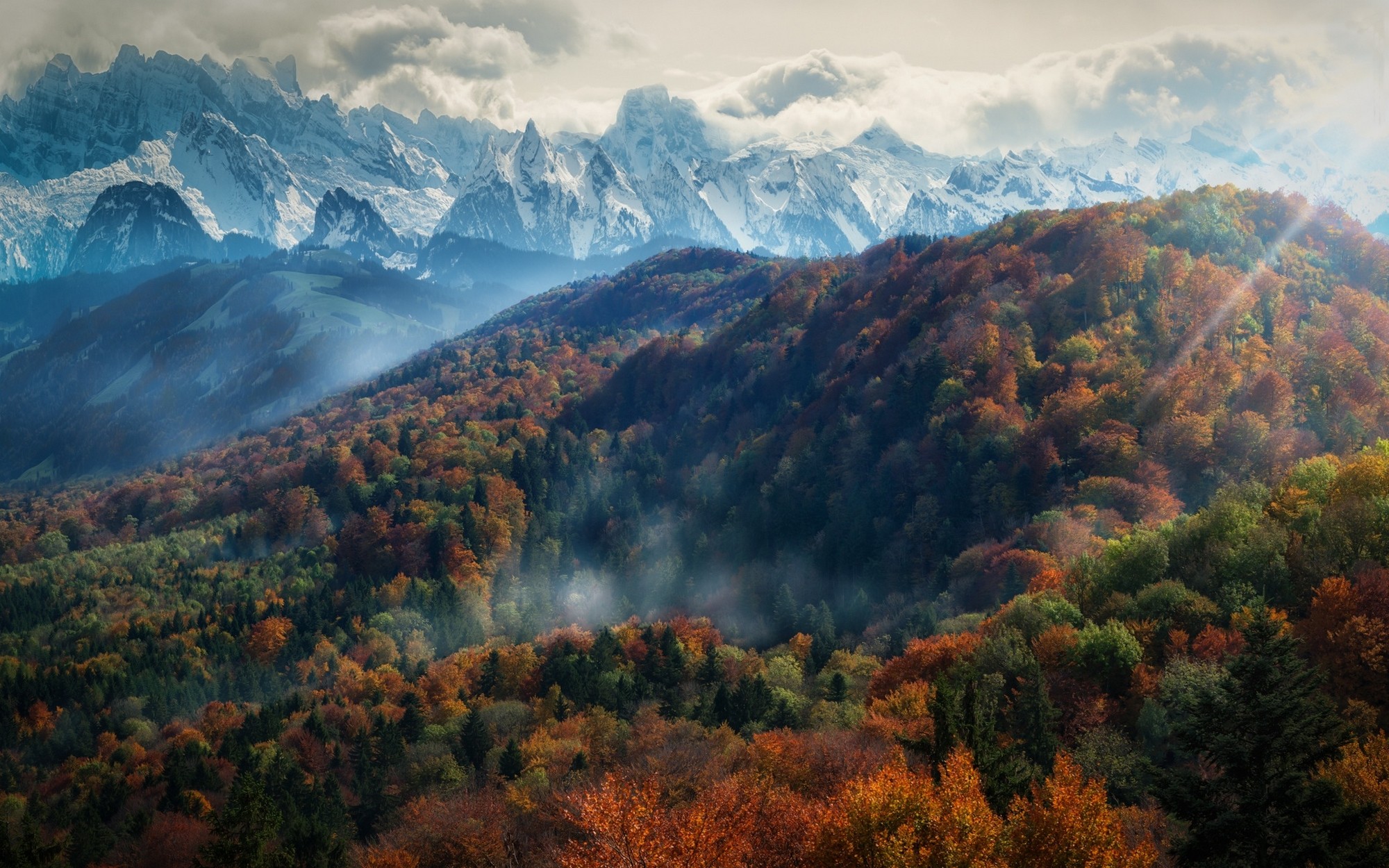 General 2000x1250 nature landscape mountains forest fall mist trees Alps snowy peak clouds sun rays morning 4K