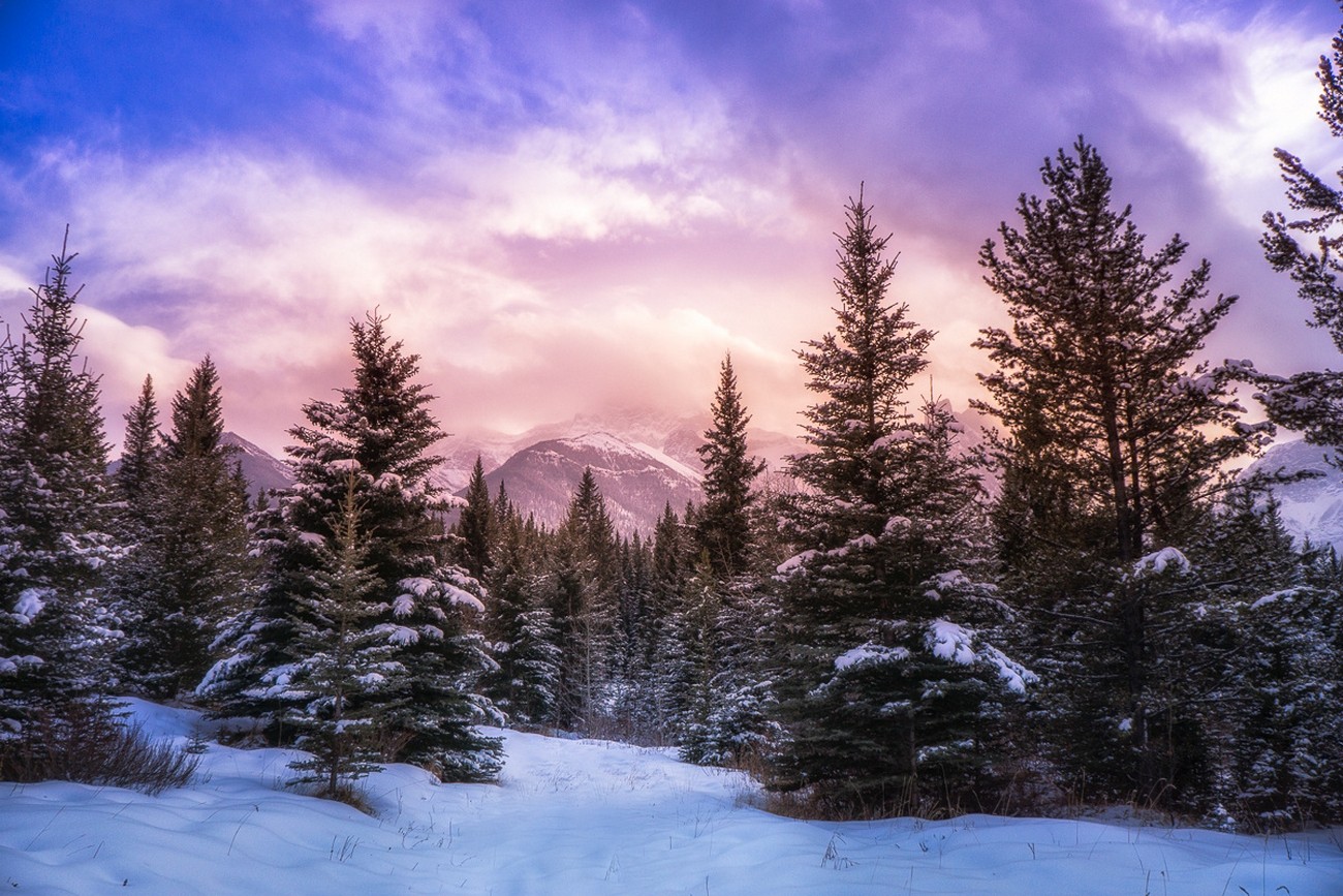 General 1300x867 nature landscape forest winter mountains clouds snow pine trees Alberta Canada sunlight