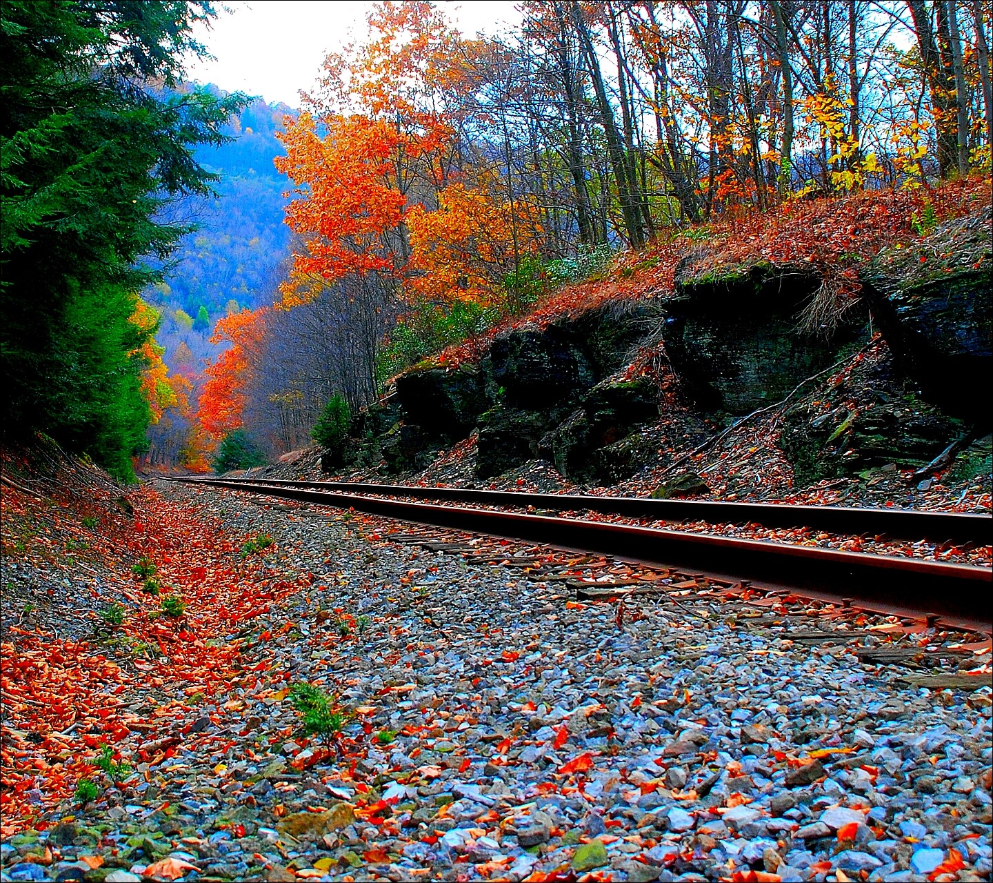 General 1440x1280 railway red leaves hills fallen leaves fall