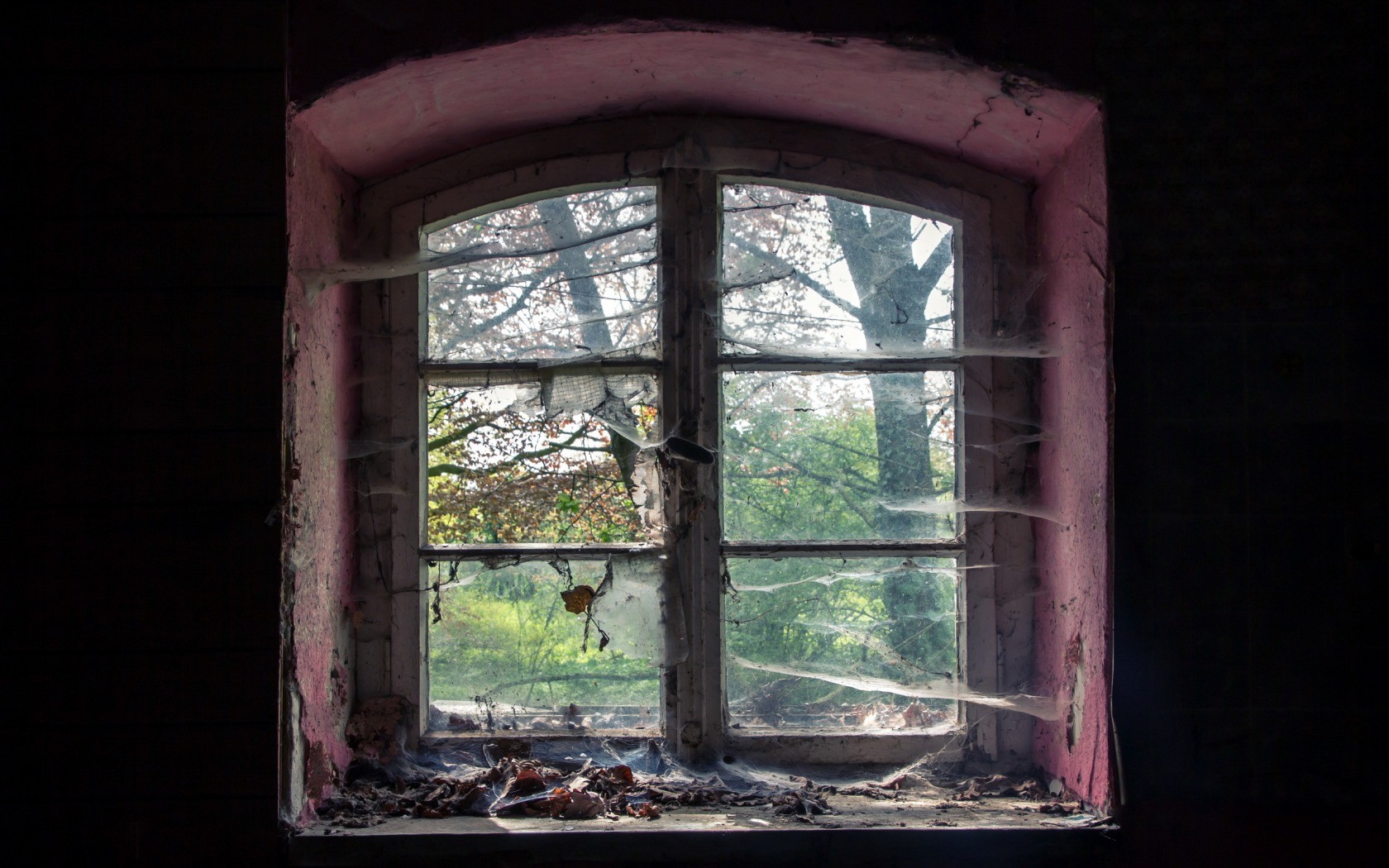 General 1680x1050 old spiderwebs window window frames ruins abandoned