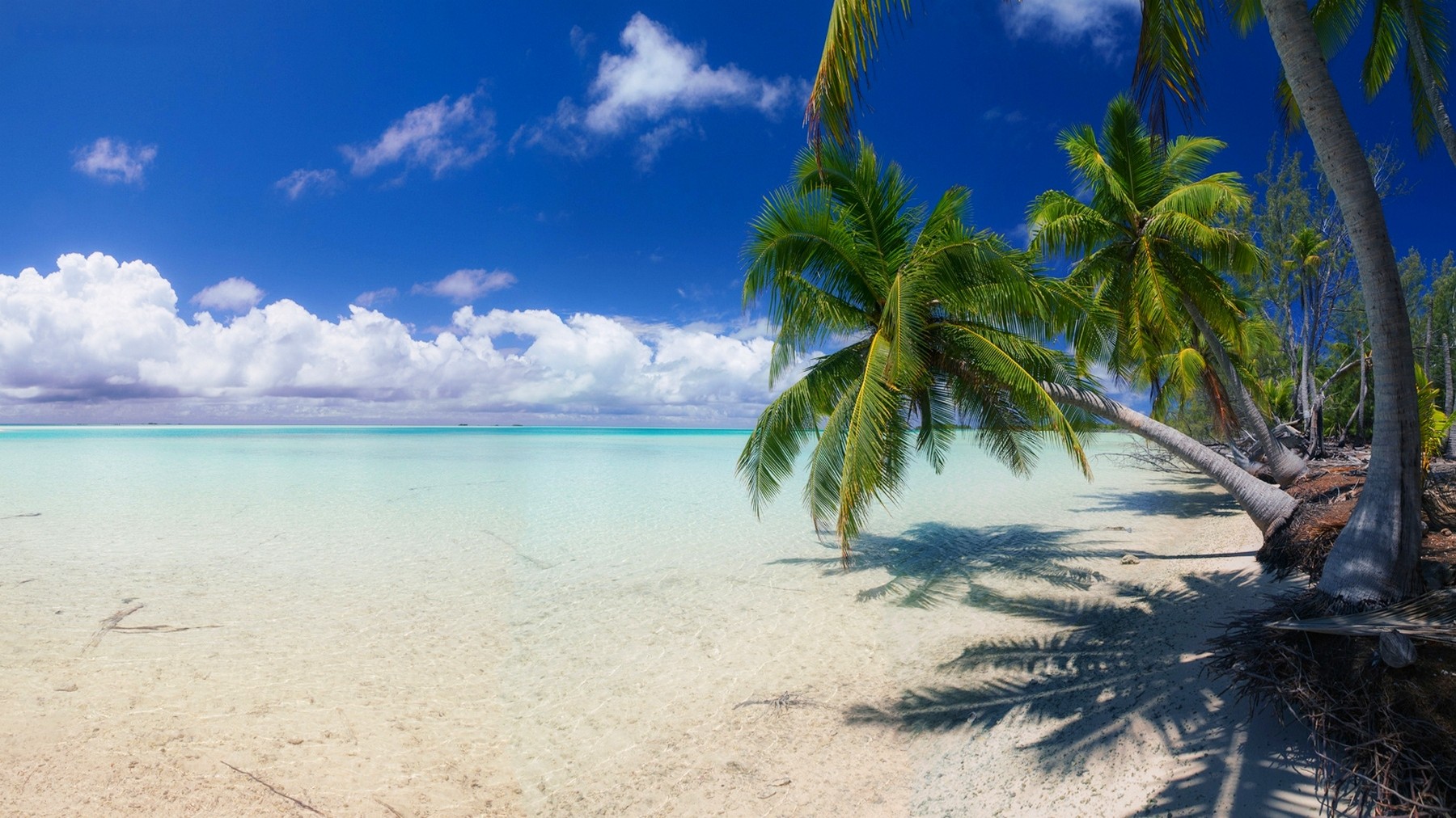 General 1800x1012 nature beach white sand island palm trees sea clouds tropical summer