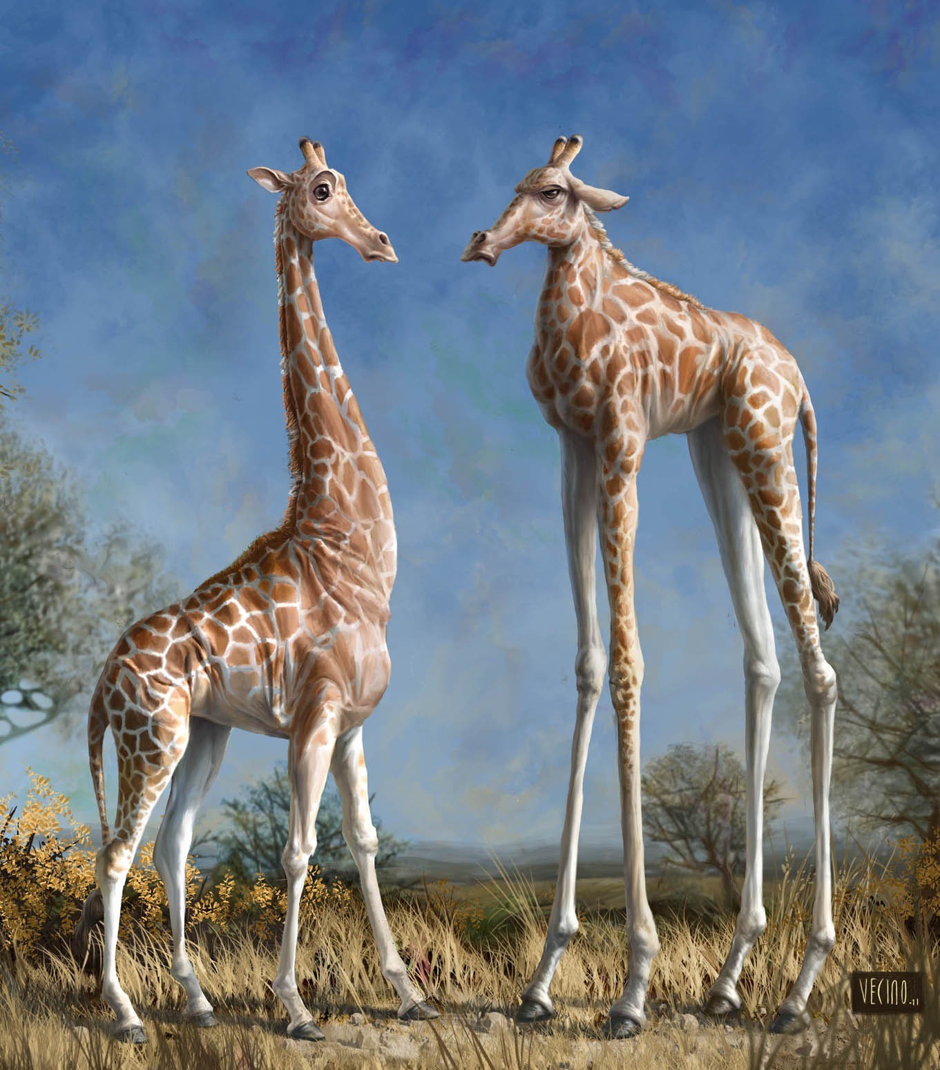 General 1361x1548 giraffes animals humor artwork mammals