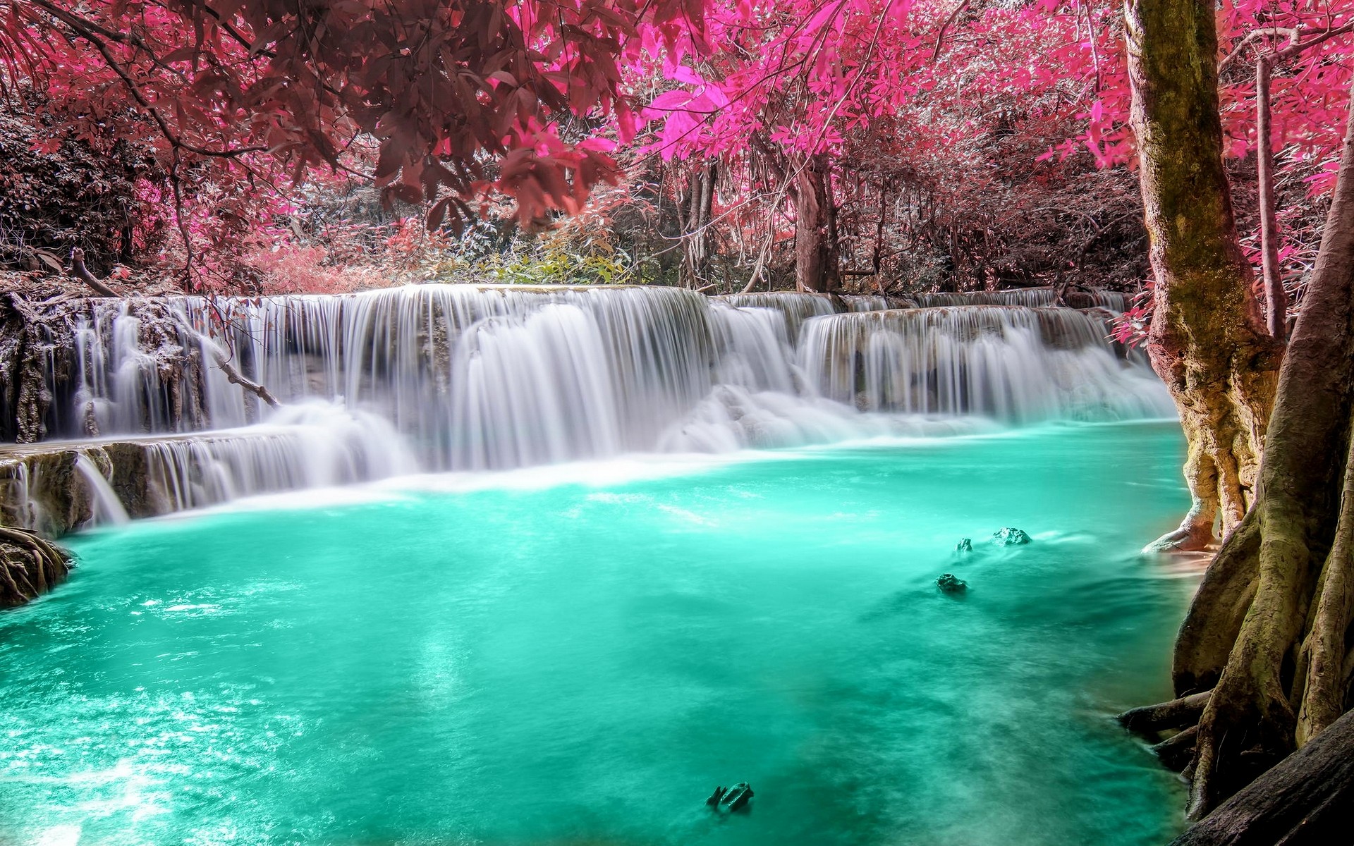 General 1920x1200 waterfall forest colorful nature Thailand trees pink turquoise white tropical river pond leaves