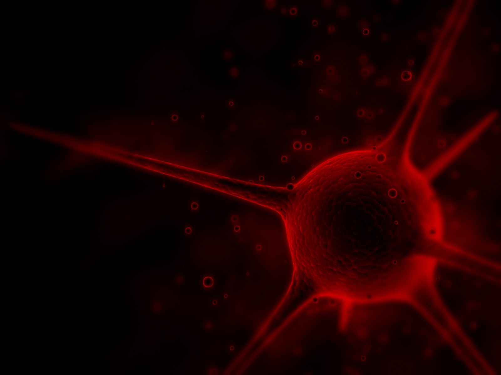 General 1600x1200 digital art CGI red Cells (Biology)