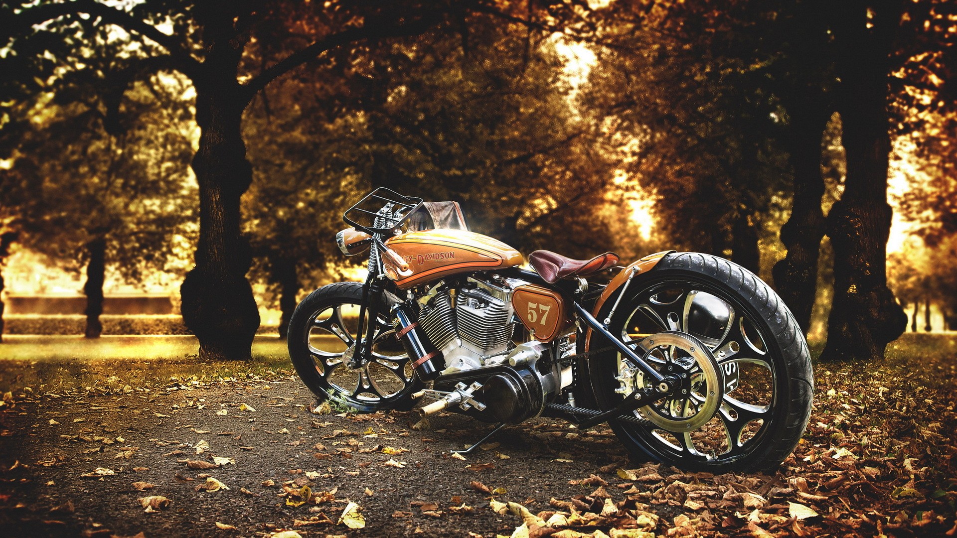 General 1920x1080 numbers motorcycle American motorcycles fall Harley-Davidson vehicle Orange Motorcycles trees leaves