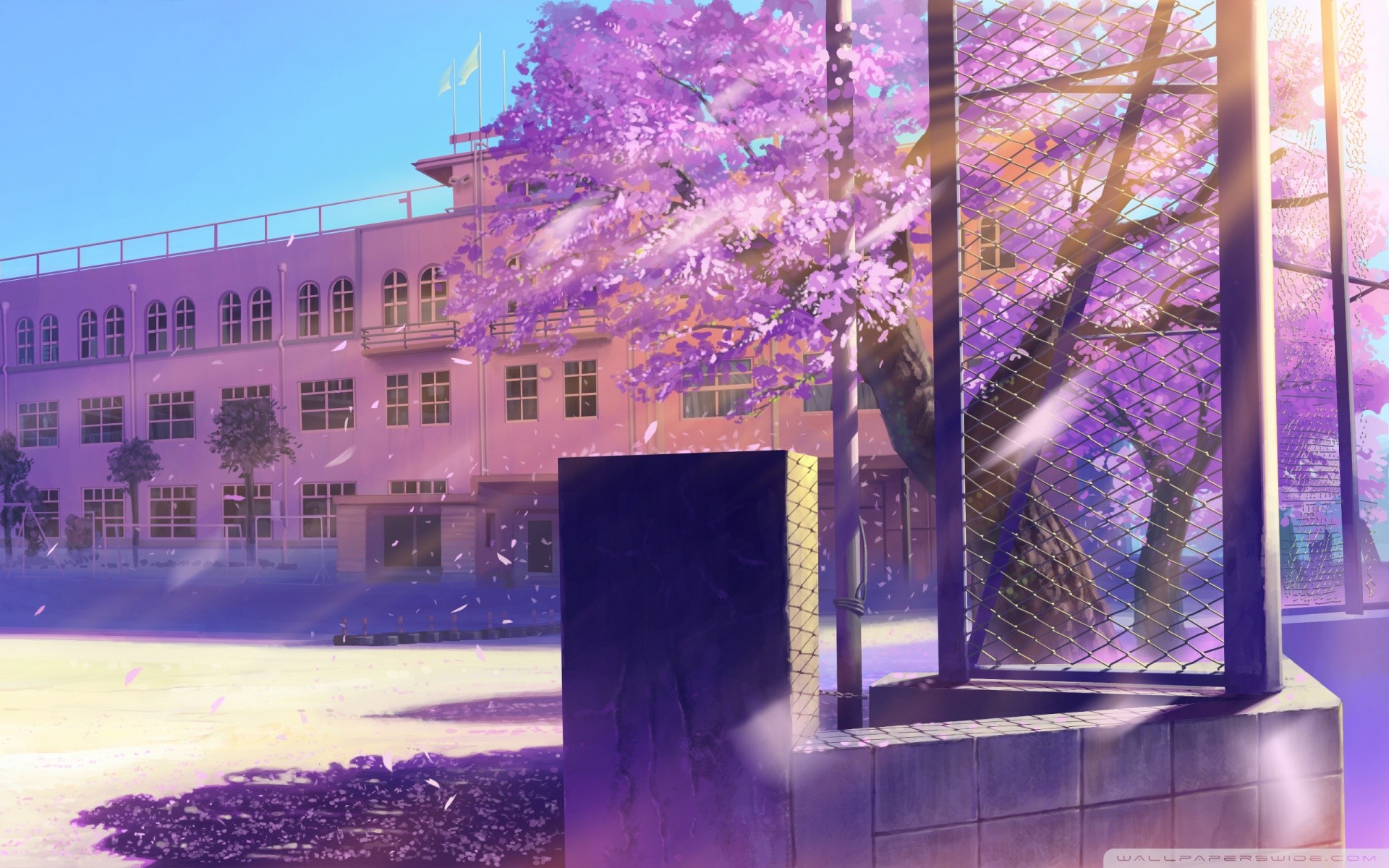 Anime 1920x1200 anime trees pink building school cherry blossom outdoors urban