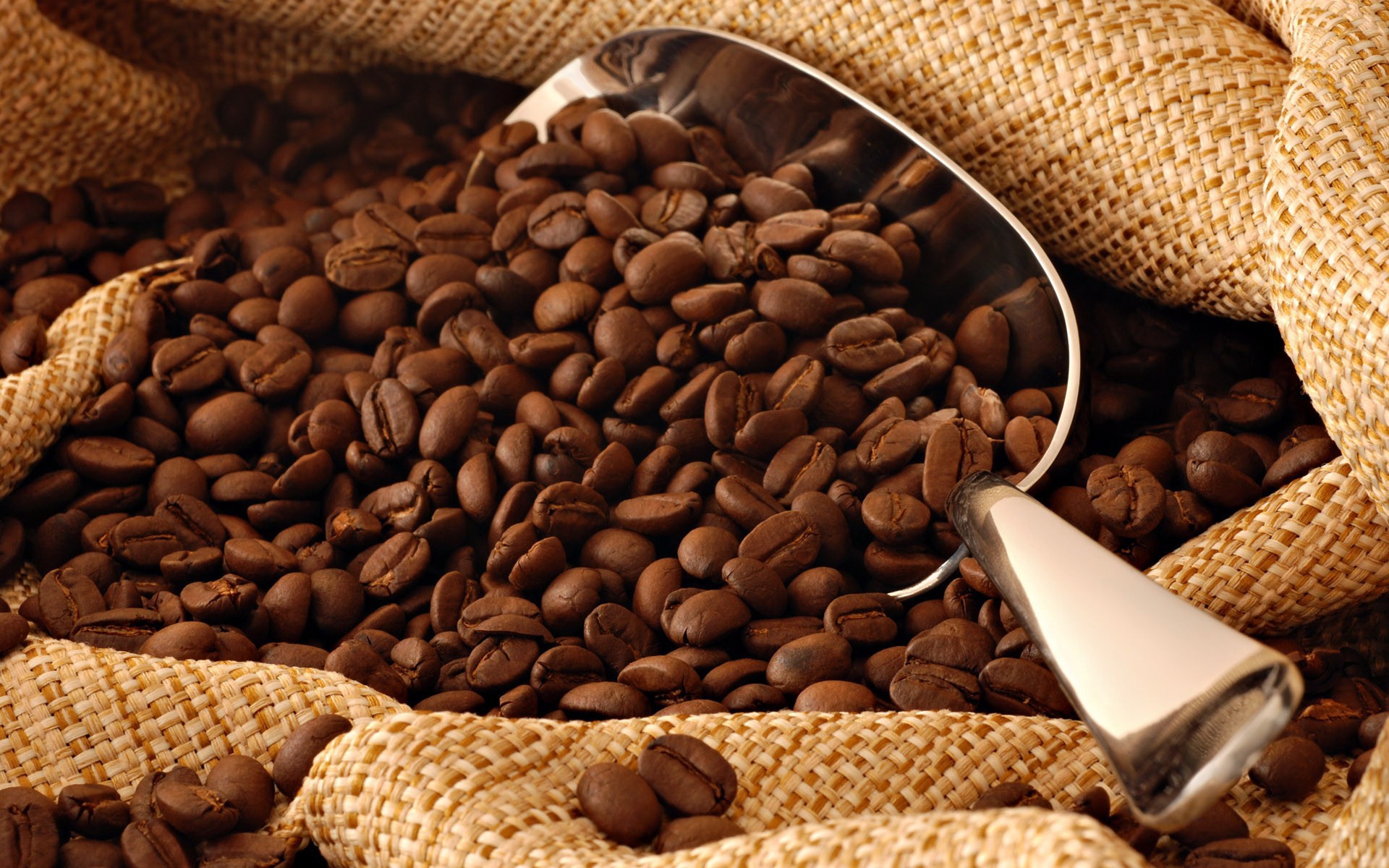 General 1920x1200 coffee coffee beans brown food closeup