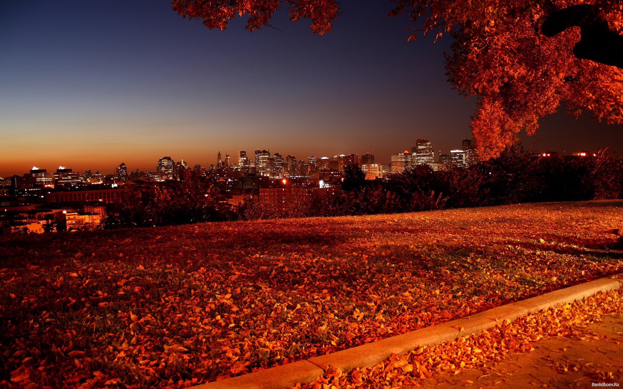 General 2560x1600 cityscape city lights fallen leaves dusk city leaves outdoors low light watermarked