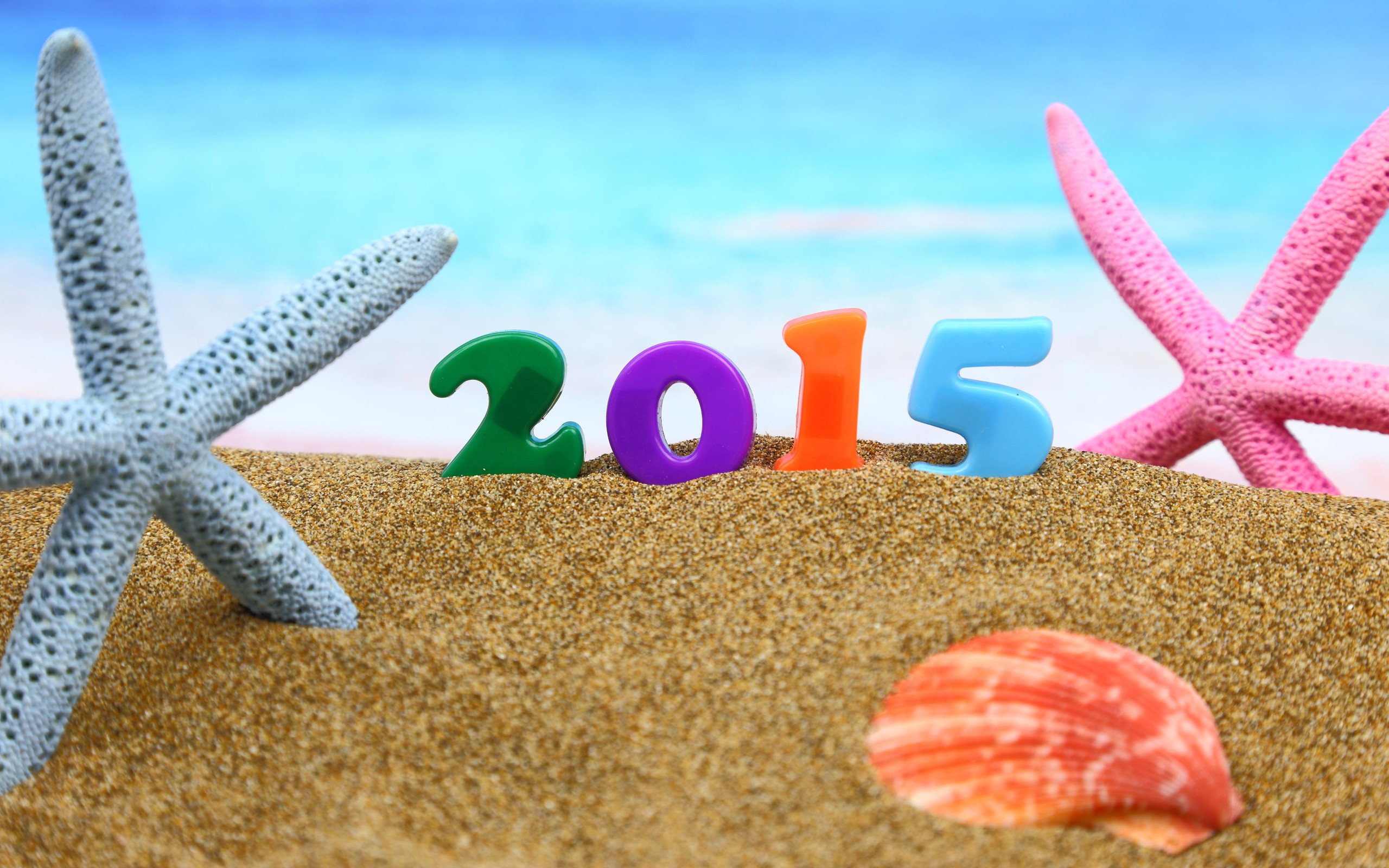 General 2560x1600 Christmas New Year starfish seashells sand 2015 (Year) numbers