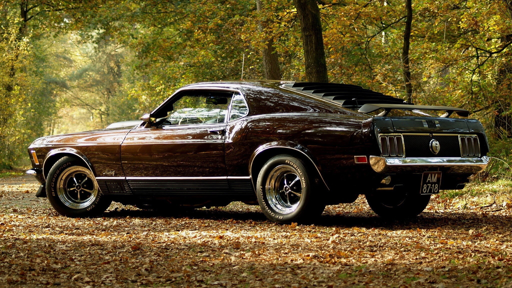 General 2048x1152 muscle cars car Ford Ford Mustang leaves trees American cars