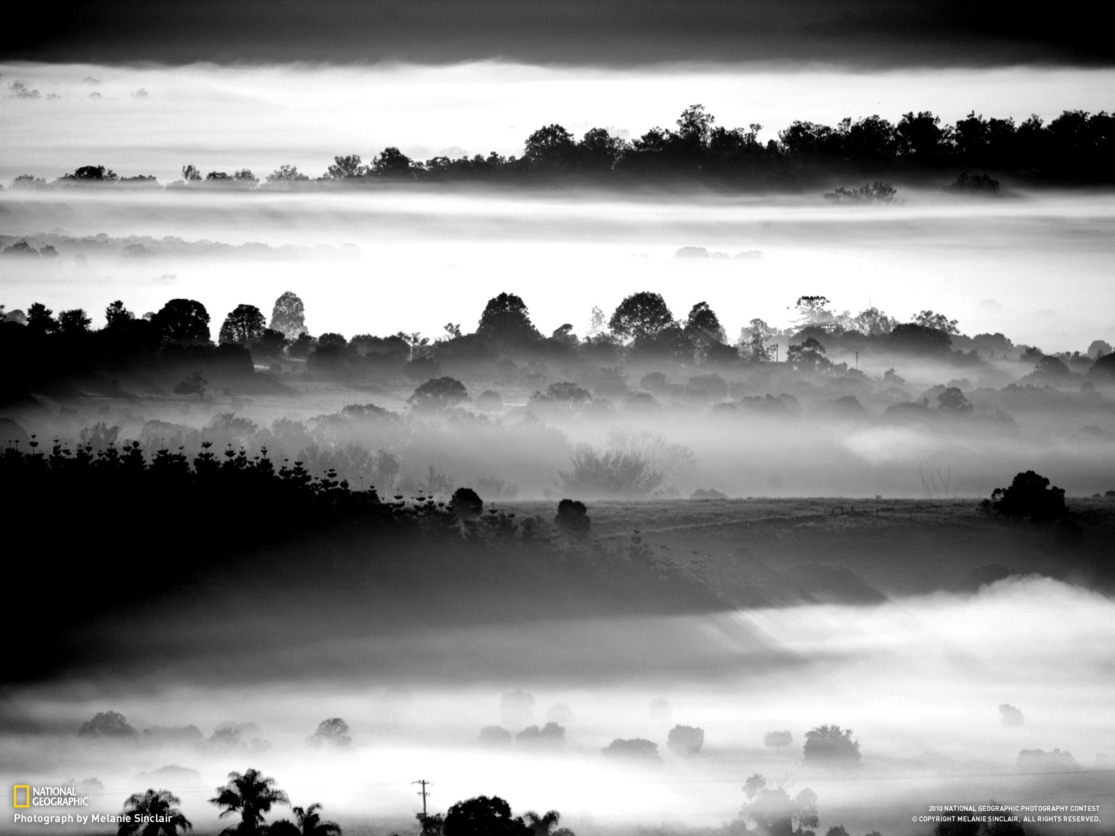 General 1600x1200 landscape mist nature monochrome National Geographic 2010 (Year)