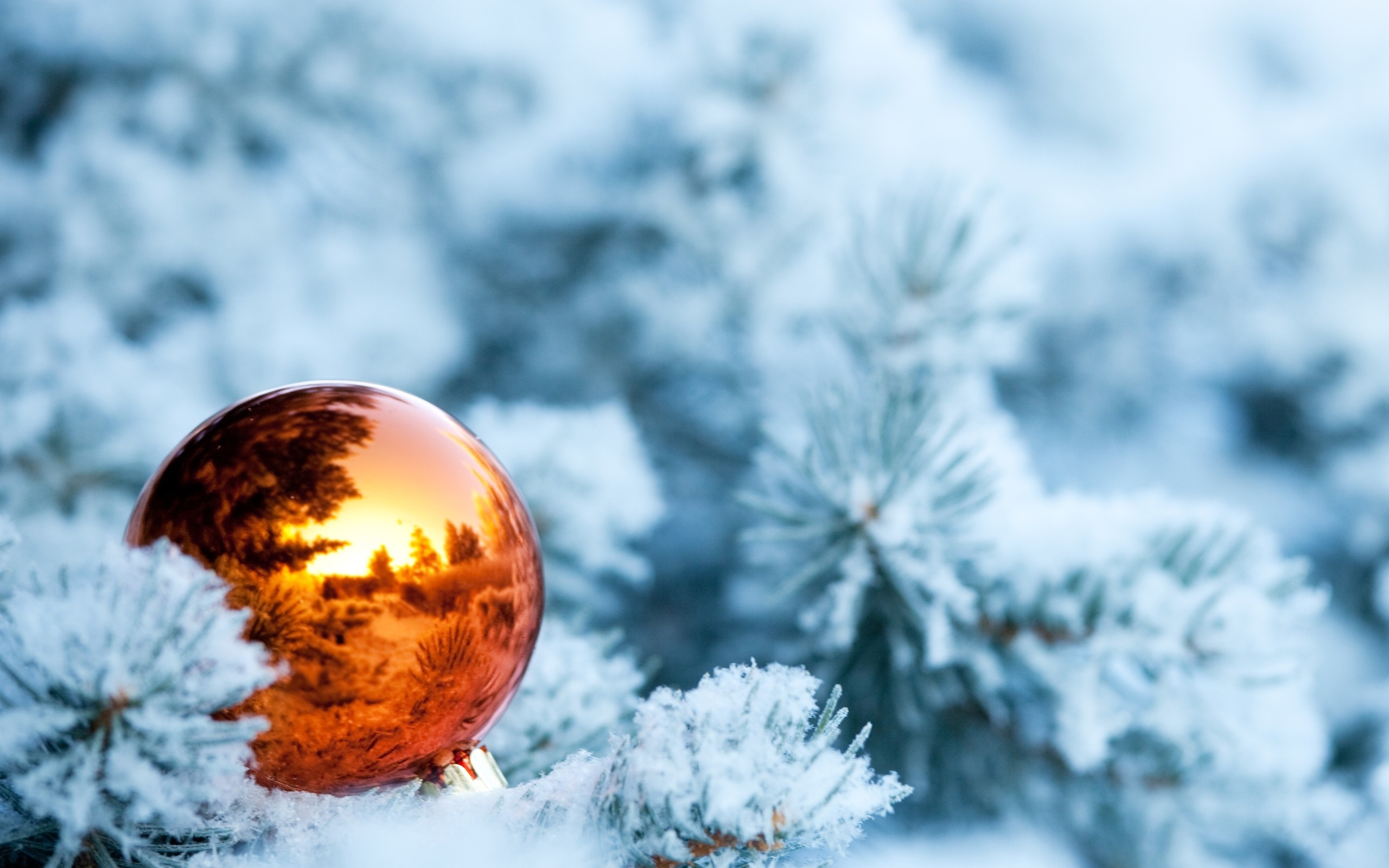 General 2560x1600 New Year snow Christmas ornaments  leaves reflection depth of field Christmas holiday