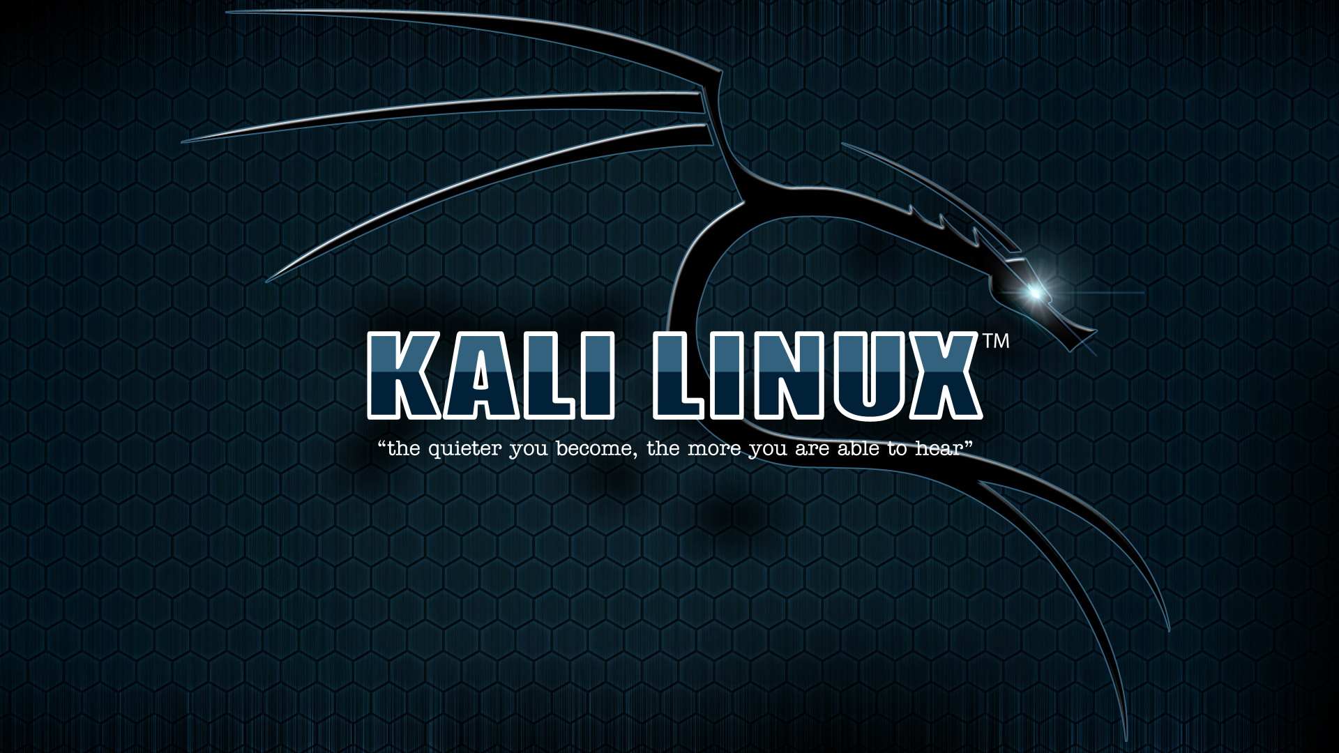 General 1920x1080 Kali Linux typography texture Linux digital art logo text operating system