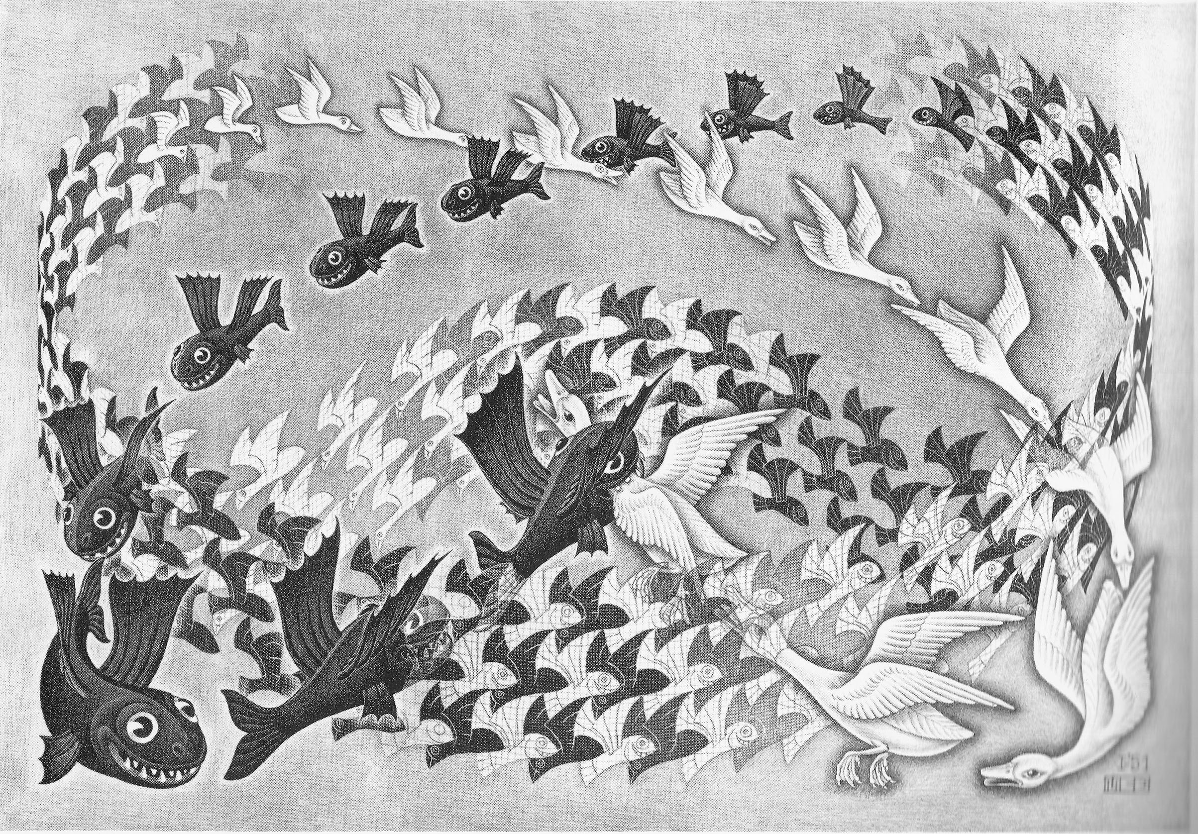 General 2407x1676 artwork M. C. Escher monochrome psychedelic animals fish birds geese flying lithograph