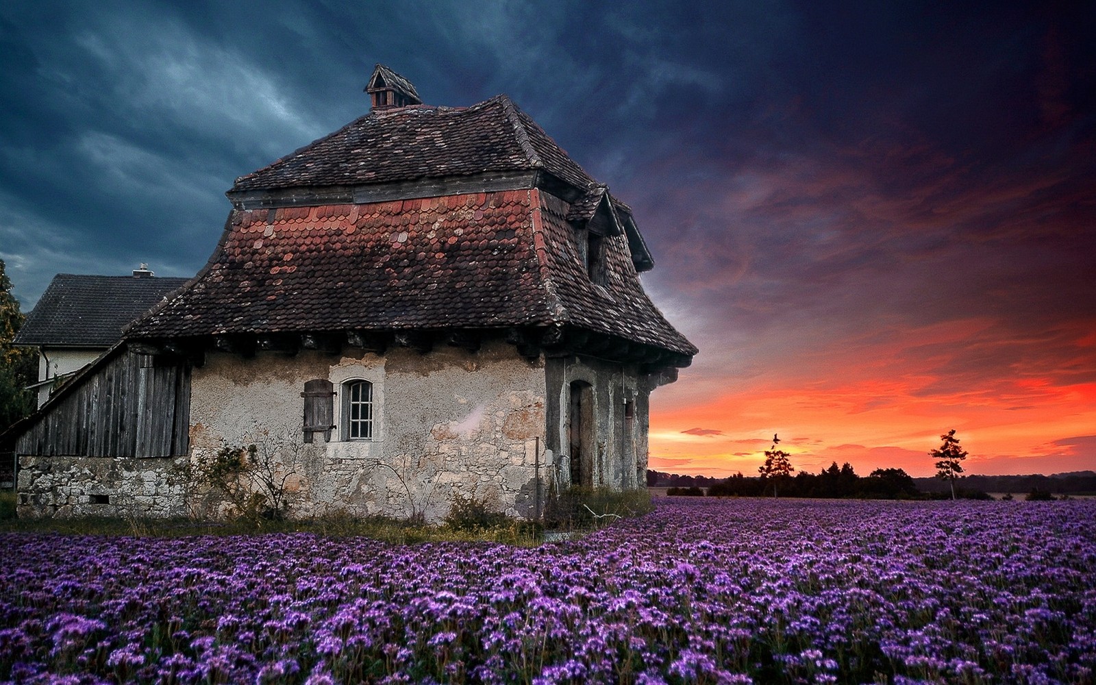 General 1600x1000 landscape nature sunset farm house old sky flowers lavender clouds field purple spring outdoors
