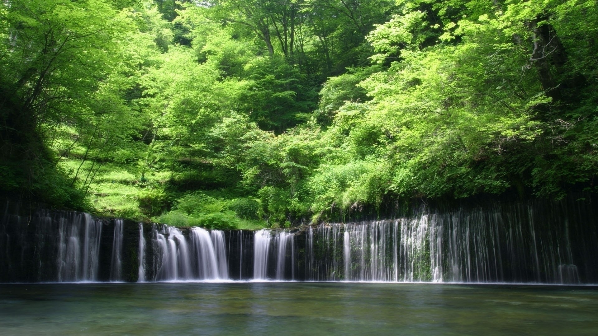 General 1920x1080 waterfall nature trees water plants