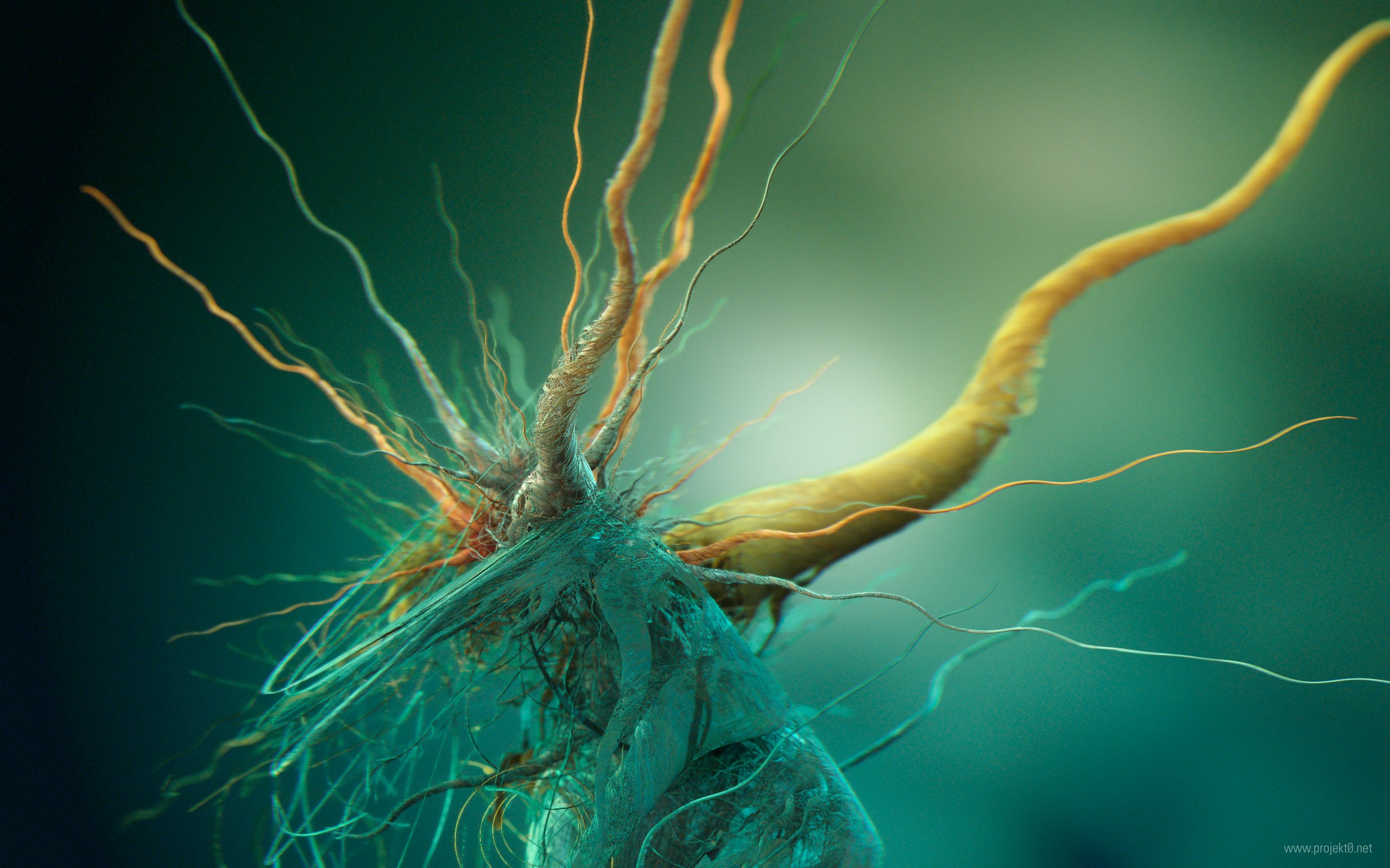 General 2560x1600 abstract brain biology  digital art CGI green Cells (Biology)