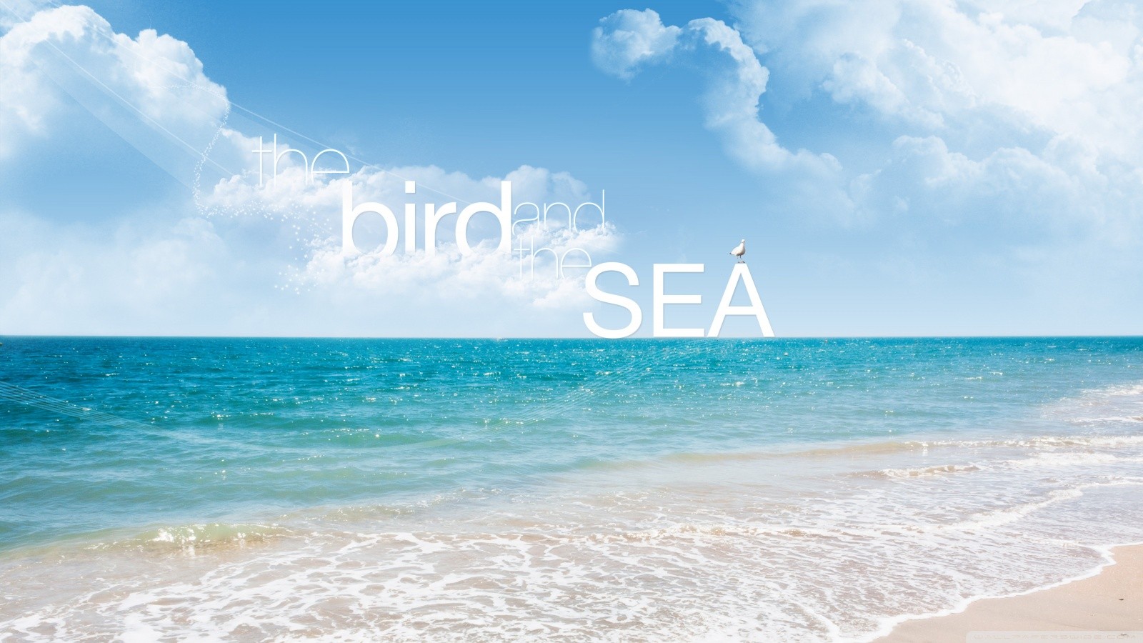 General 1600x900 quote beach typography sea sky digital art horizon outdoors birds animals clouds