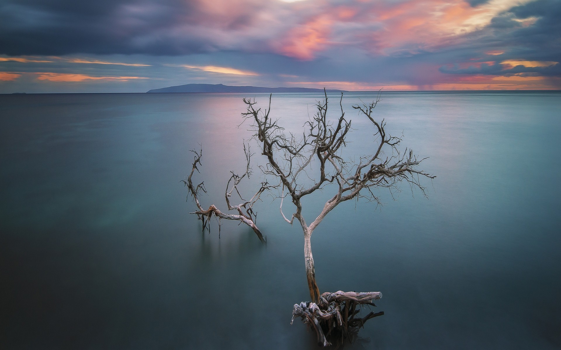 General 1920x1200 nature dead trees lake calm clouds hills water