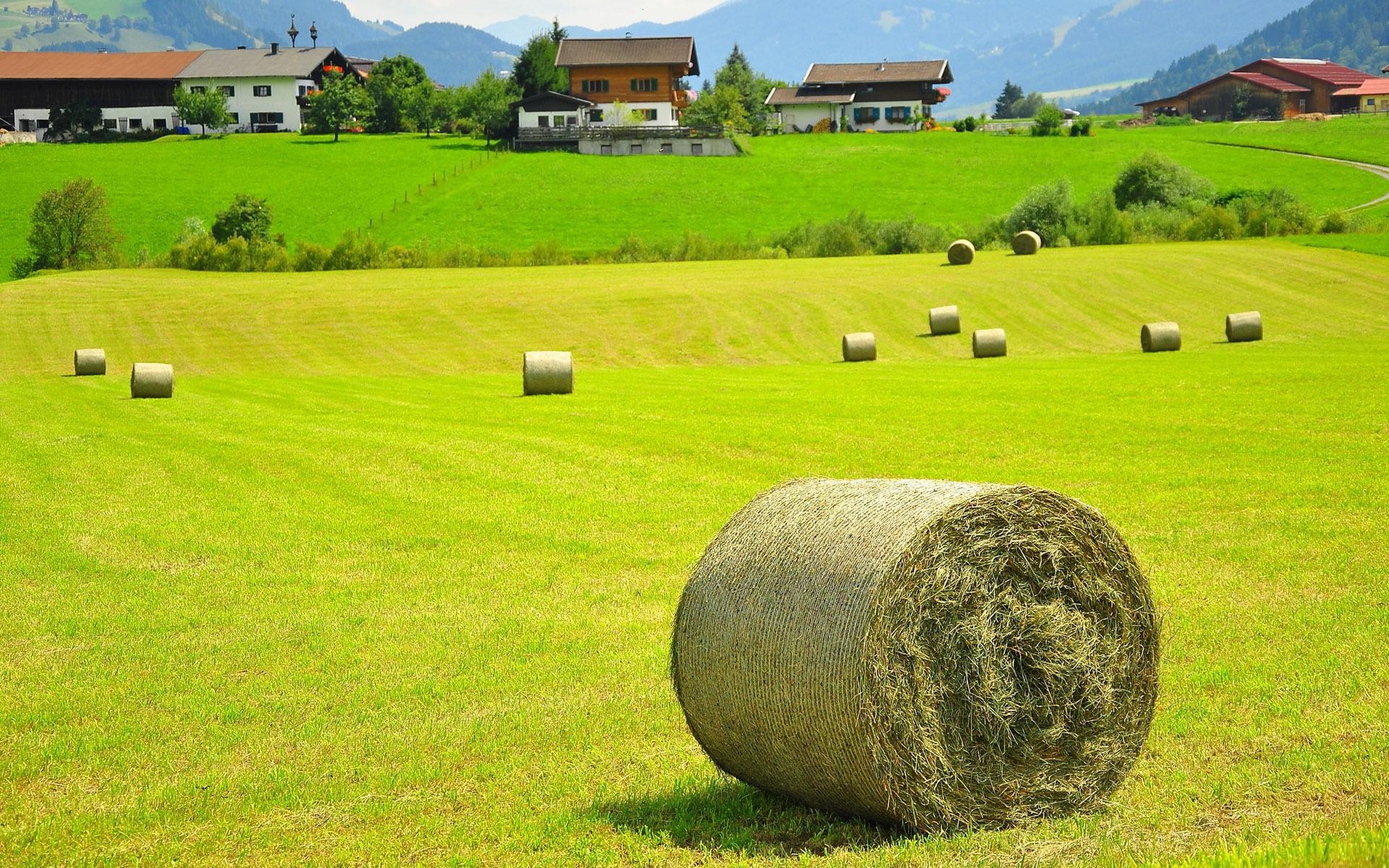 General 1920x1200 landscape hay field haystacks Austria grass house mountains Alps hay bales