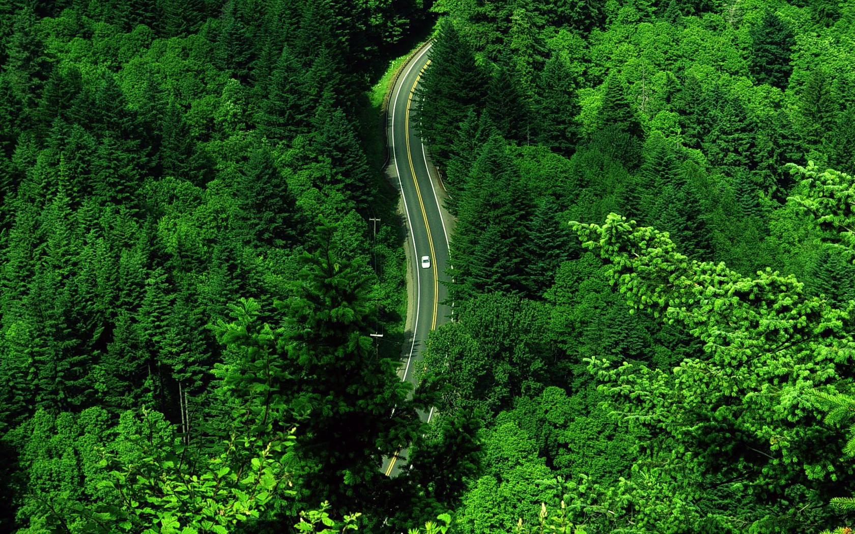 General 1680x1050 road nature landscape water forest aerial view trees car