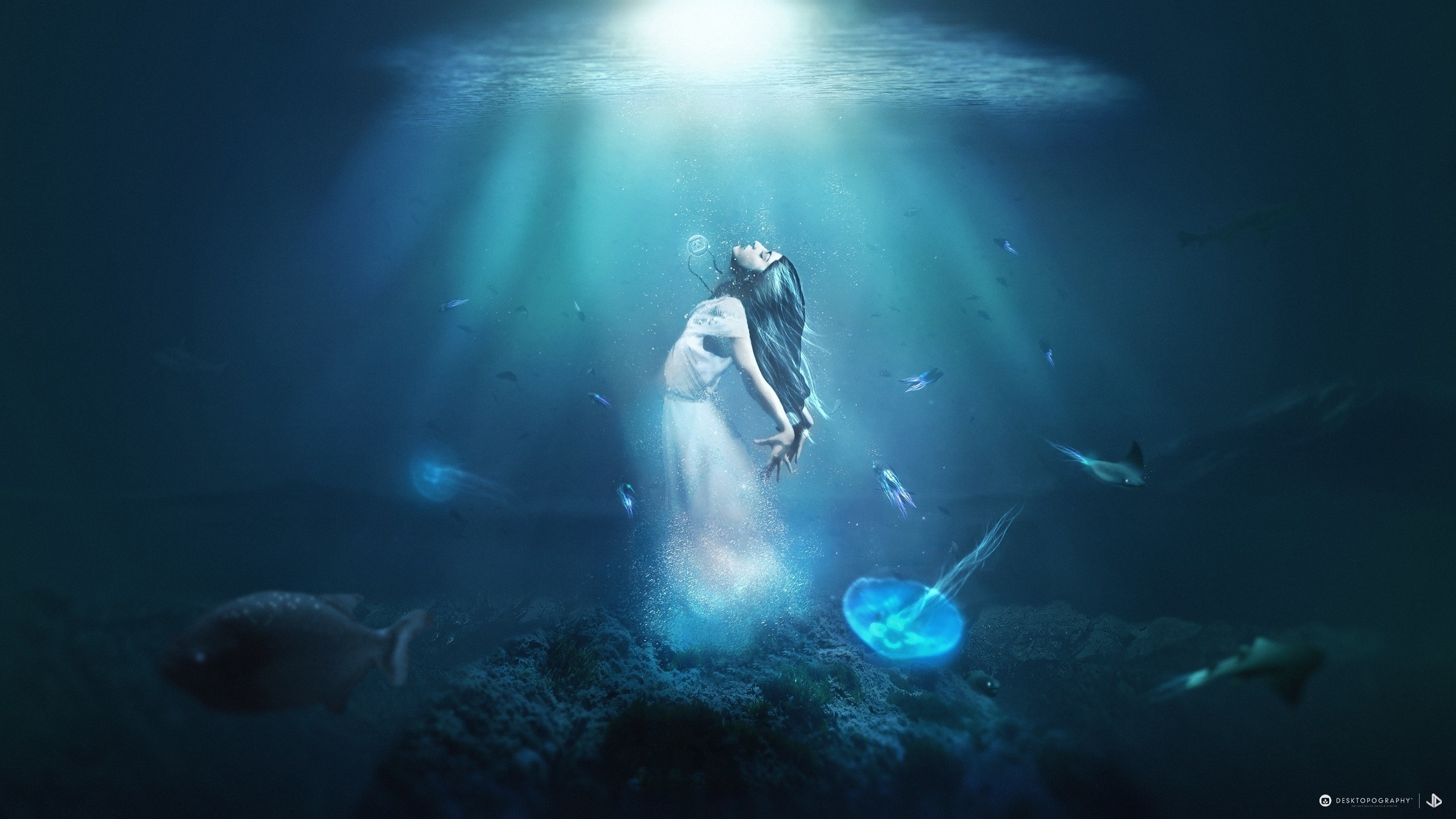 General 2560x1440 fantasy art Desktopography underwater women fish digital art cyan blue