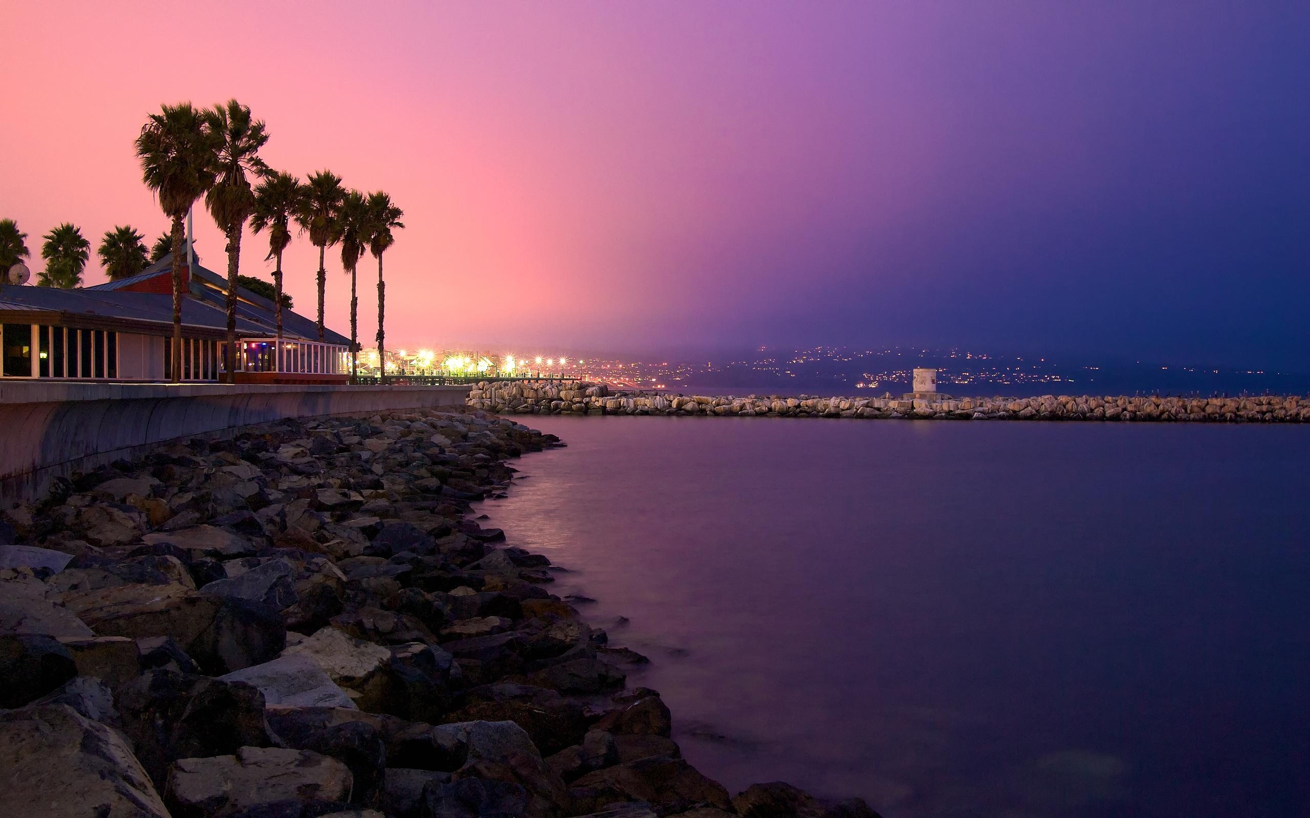 General 2560x1600 palm trees sea purple sky city lights low light