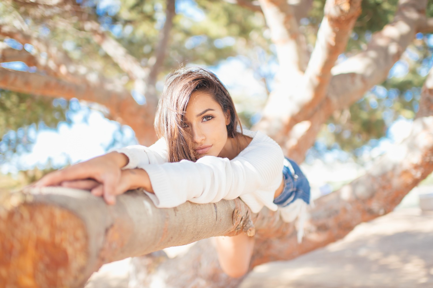 People 1502x1000 Michele Maturo women women outdoors bright trees wood nature outdoors makeup looking at viewer model