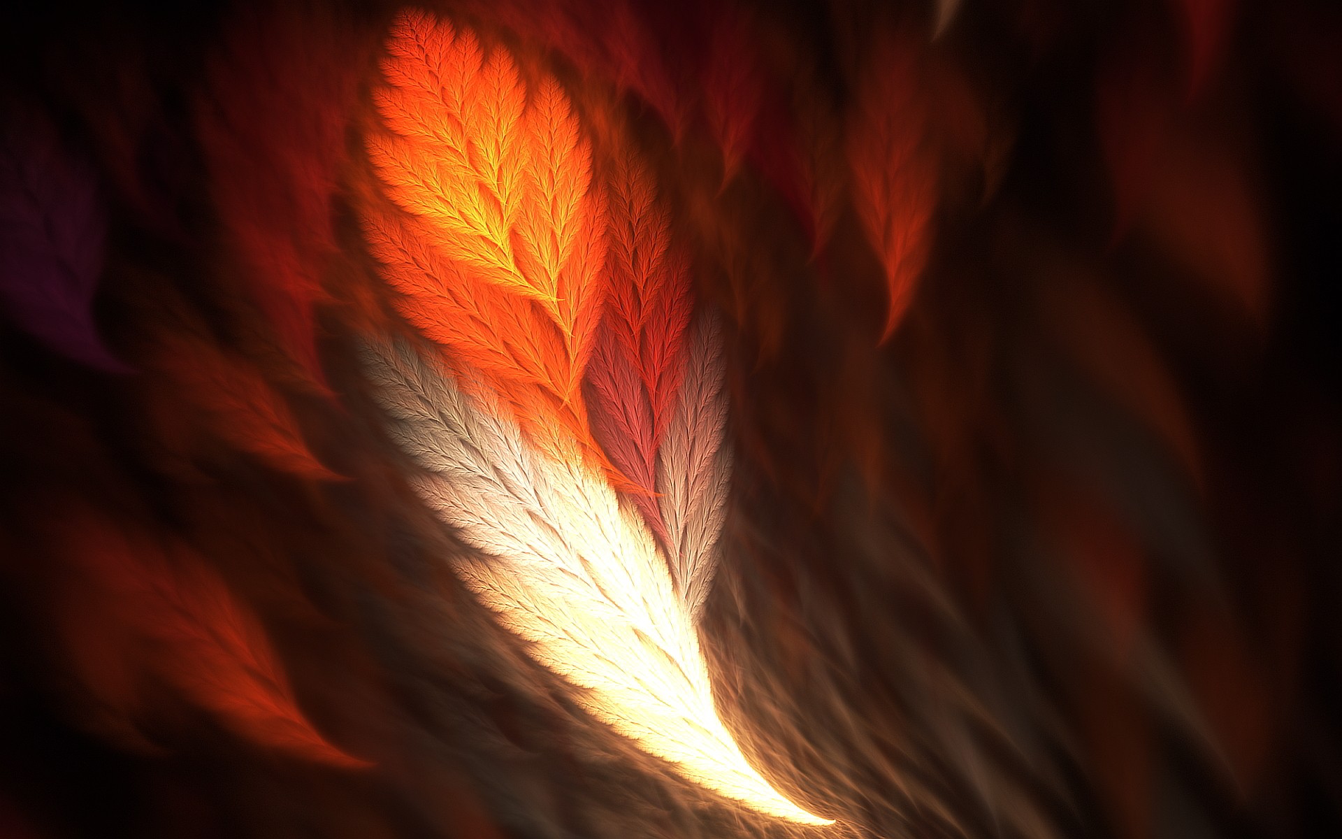 General 1920x1200 abstract feathers fractal orange