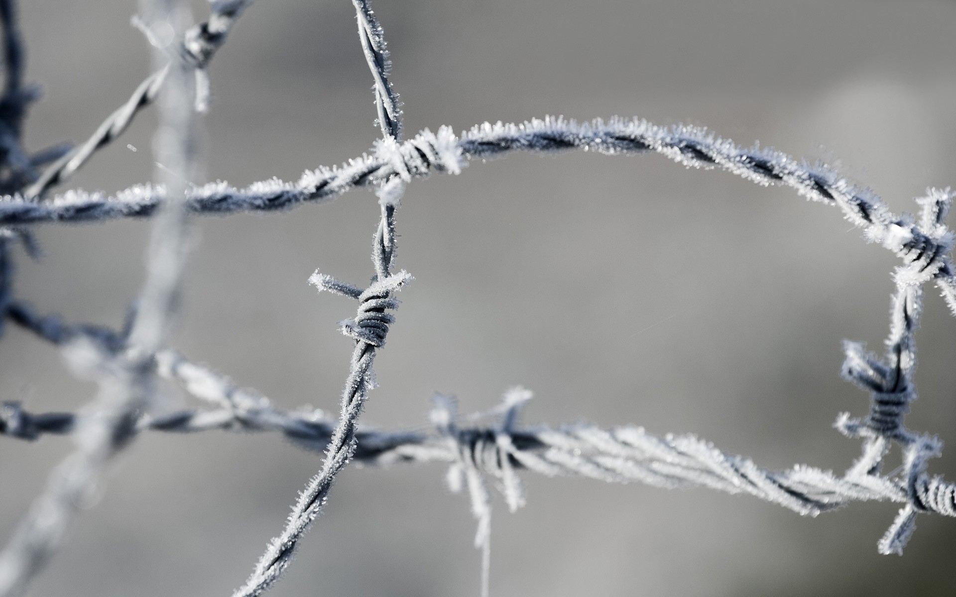 General 1920x1200 barbed wire fence ice frost outdoors cold