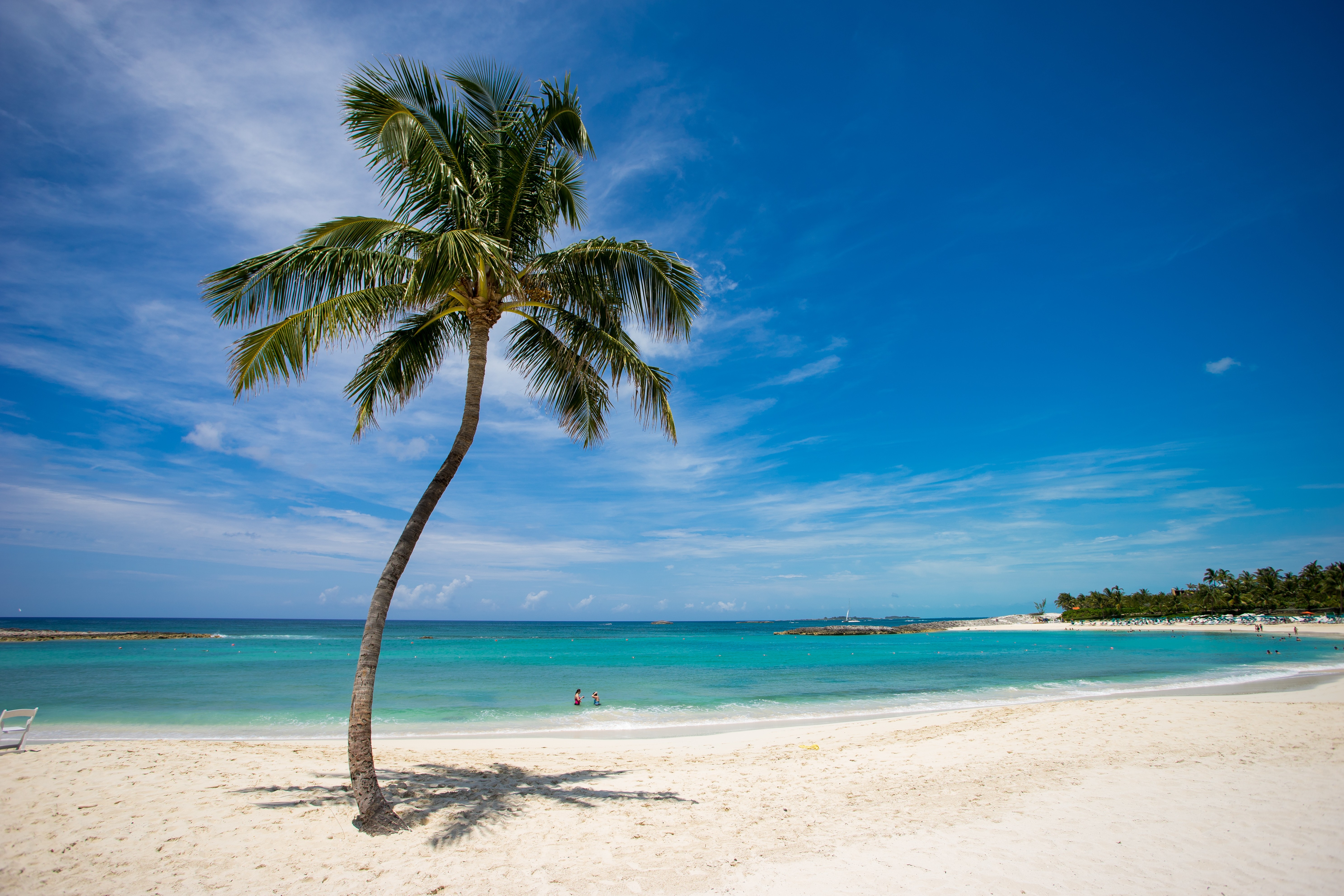 General 5948x3965 palm trees beach sea tropical lagoon island