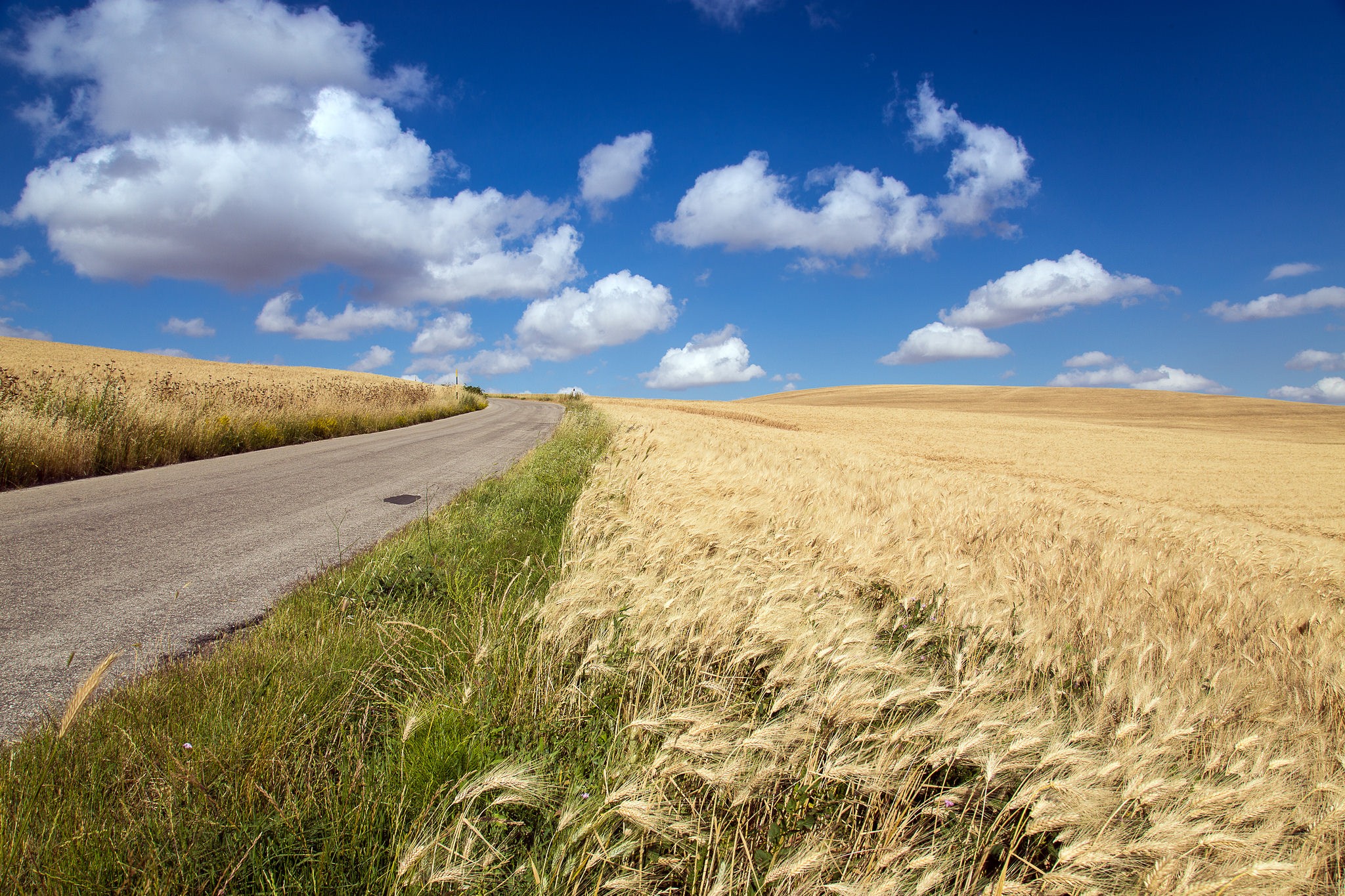 General 2048x1365 field landscape wheat road calm clouds hills Agro (Plants)