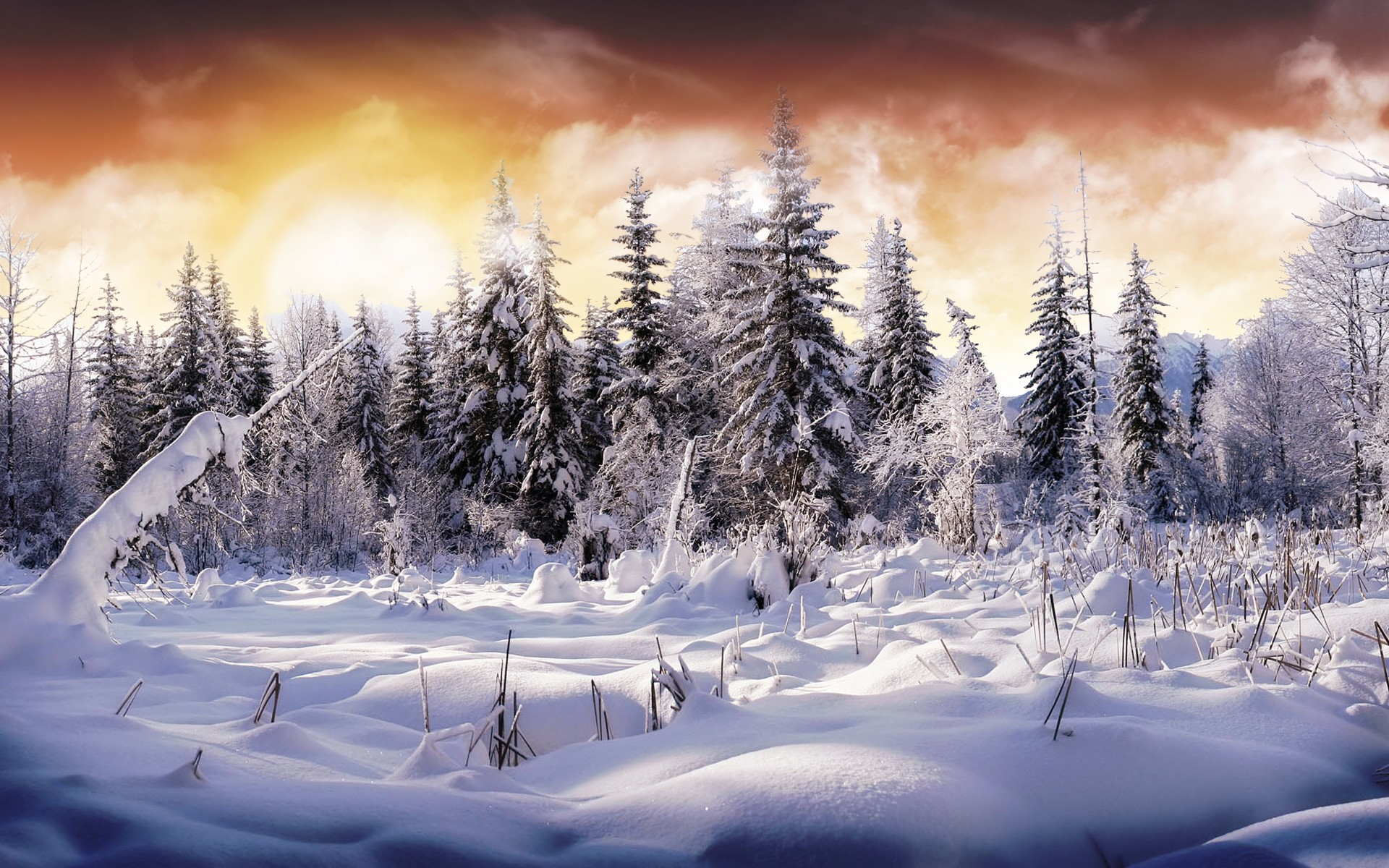 General 1920x1200 forest winter snow landscape photo manipulation cold ice trees digital art nature outdoors
