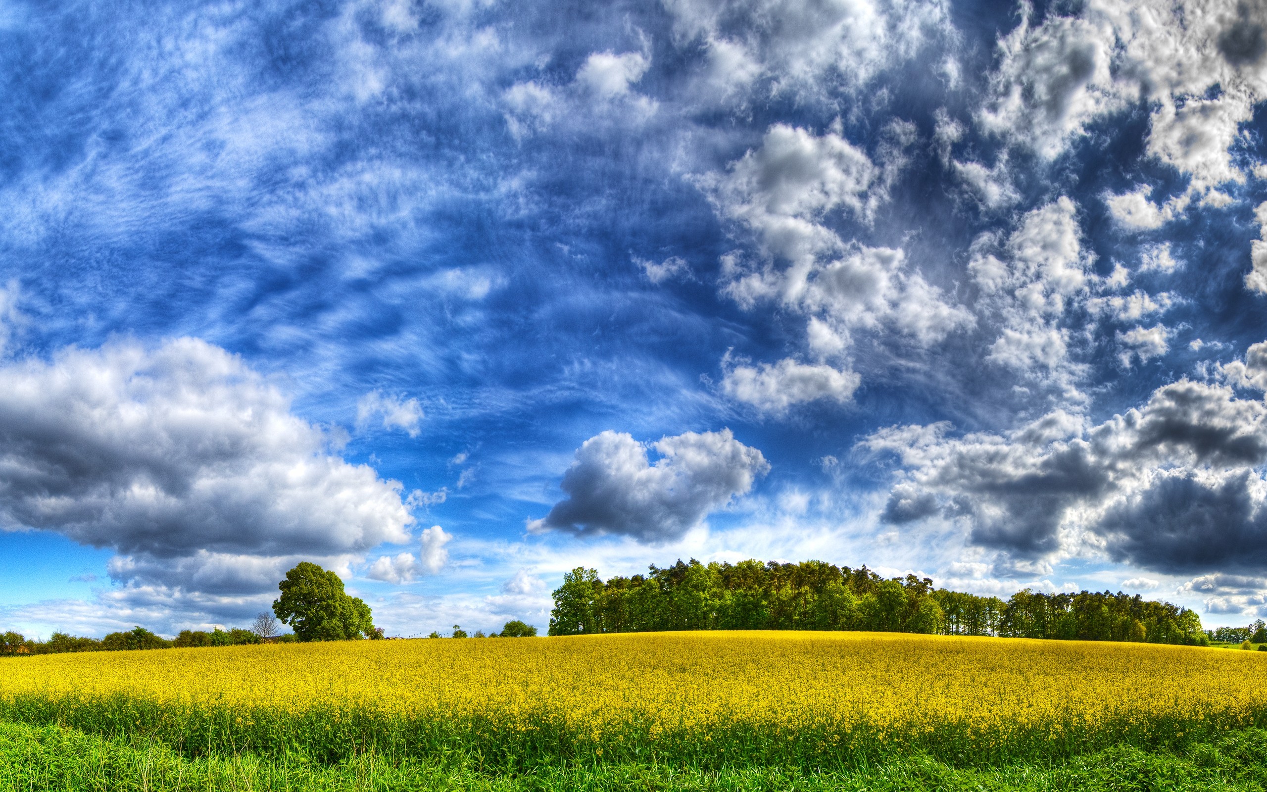 General 2560x1600 nature landscape HDR field trees clouds Agro (Plants)
