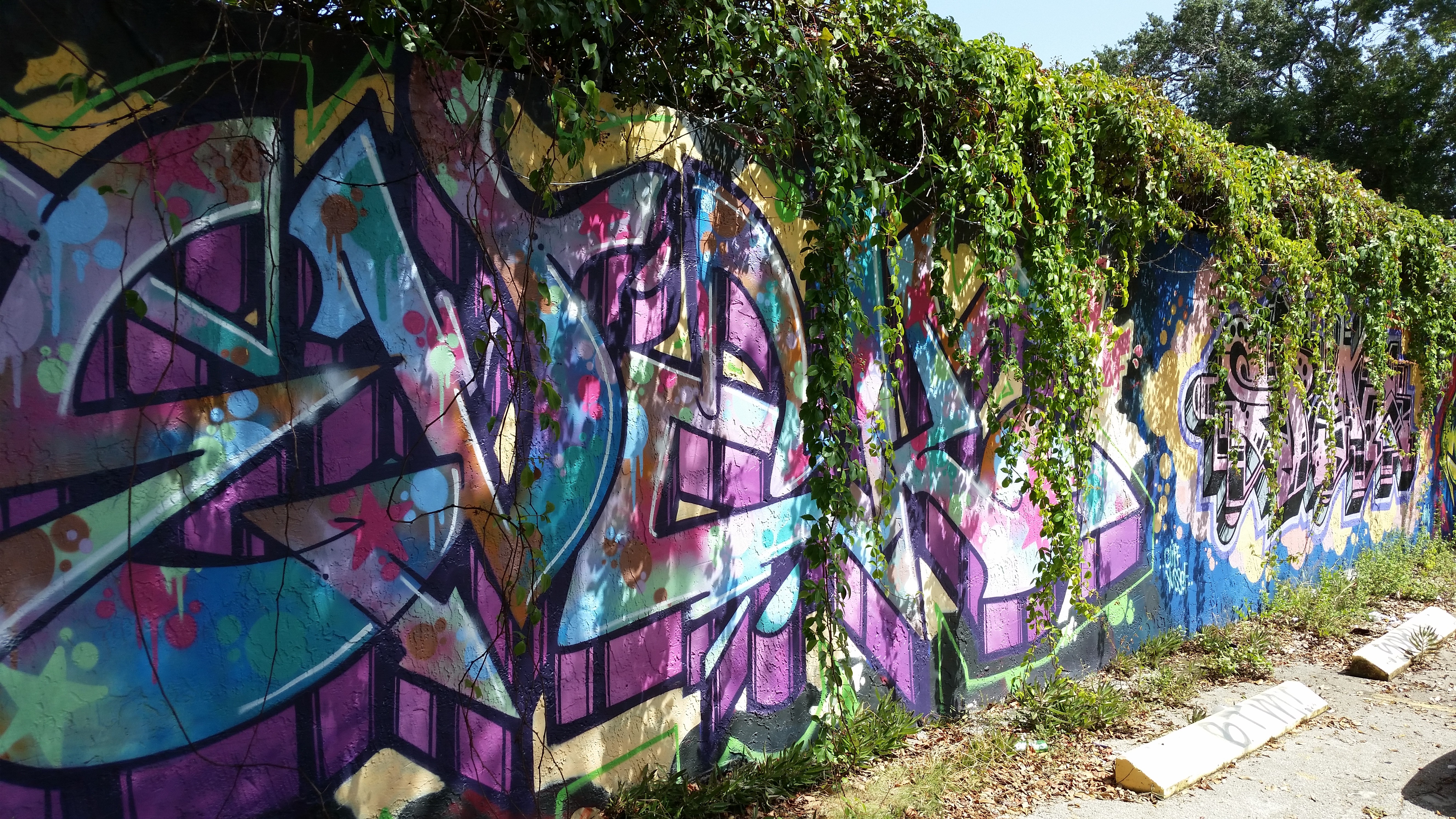 General 5312x2988 wall graffiti colorful Miami nature USA urban plants