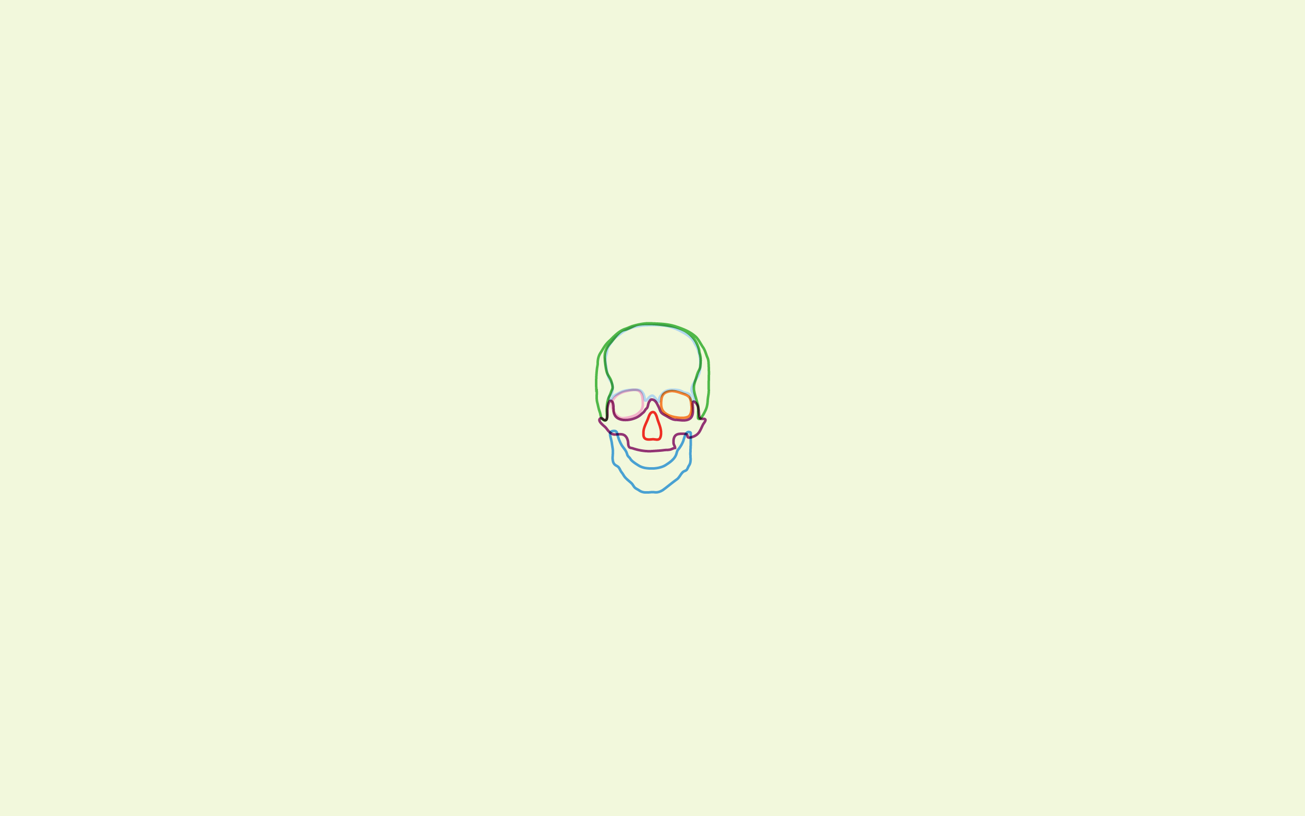General 2560x1600 minimalism skull white background